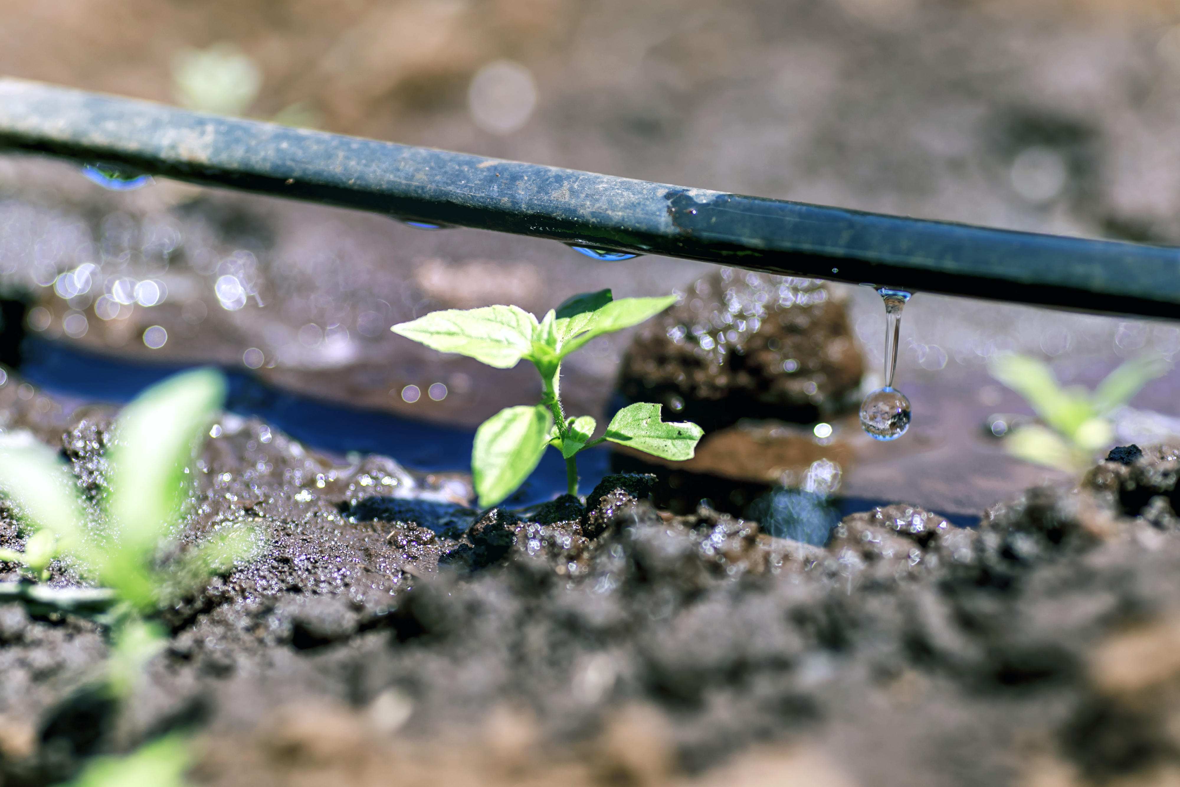 Landwirtschaft Und Klima BMZ Landwirtschaft Und Klima BMZ