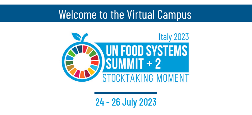 Logo: UN Food Systems Summit + 2