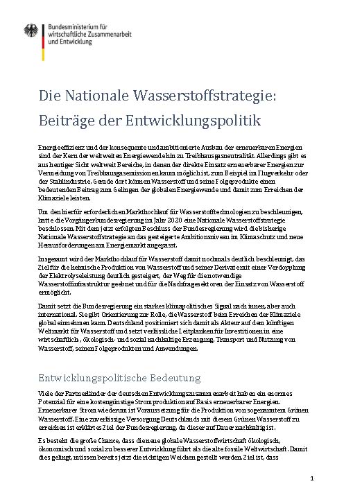 Cover Handout Nationale Wasserstoffstrategie: Beiträge der Entwicklungspolitik