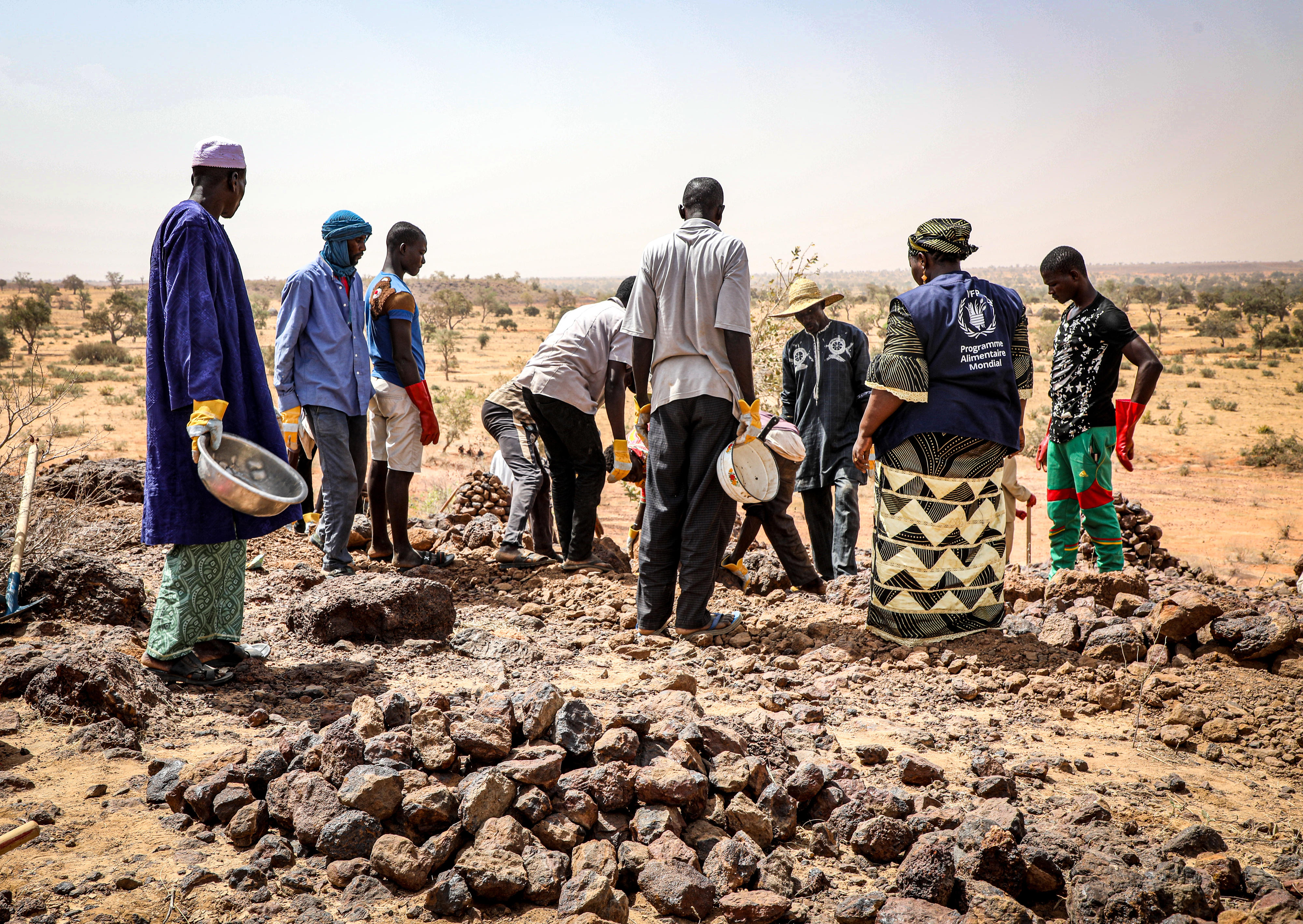 Construction of dams and stone barriers to adapt agriculture to Niger's climatic conditions