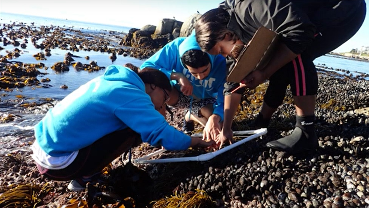 Still from the video "Ocean 4 Life – Linking knowledge and policy for action"