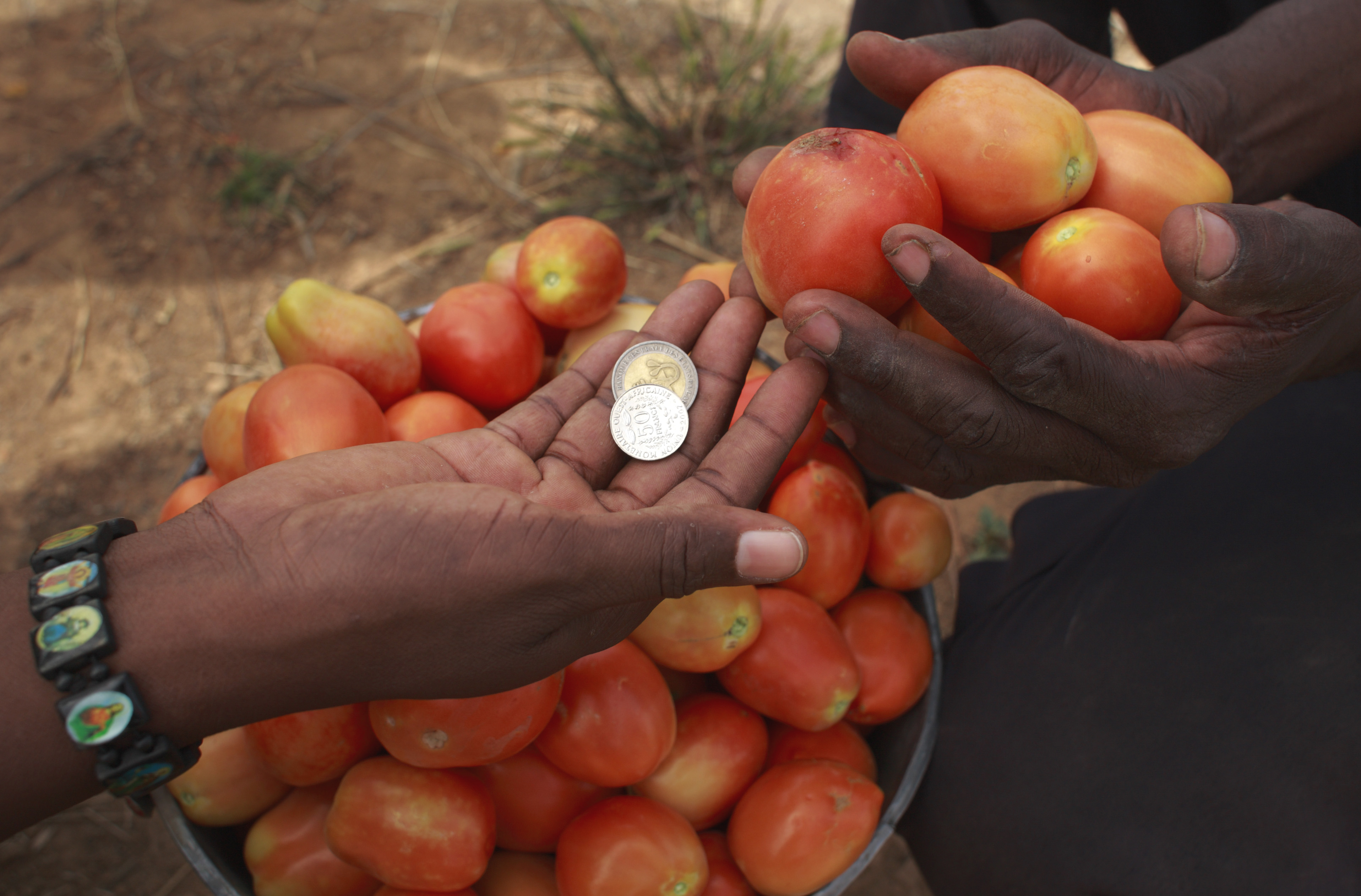 Marktszene in Burkina Faso: Verkauf von Tomaten