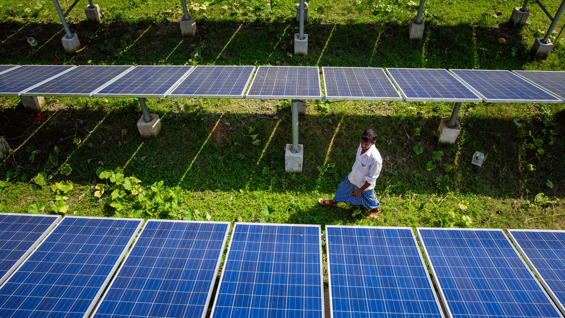 Solar power system to supply electricity to a groundwater pump in the southwest of Bangladesh. The pumped groundwater is used to irrigate the adjacent fields.