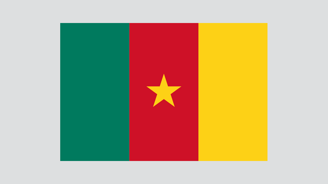 Flagge von Kamerun