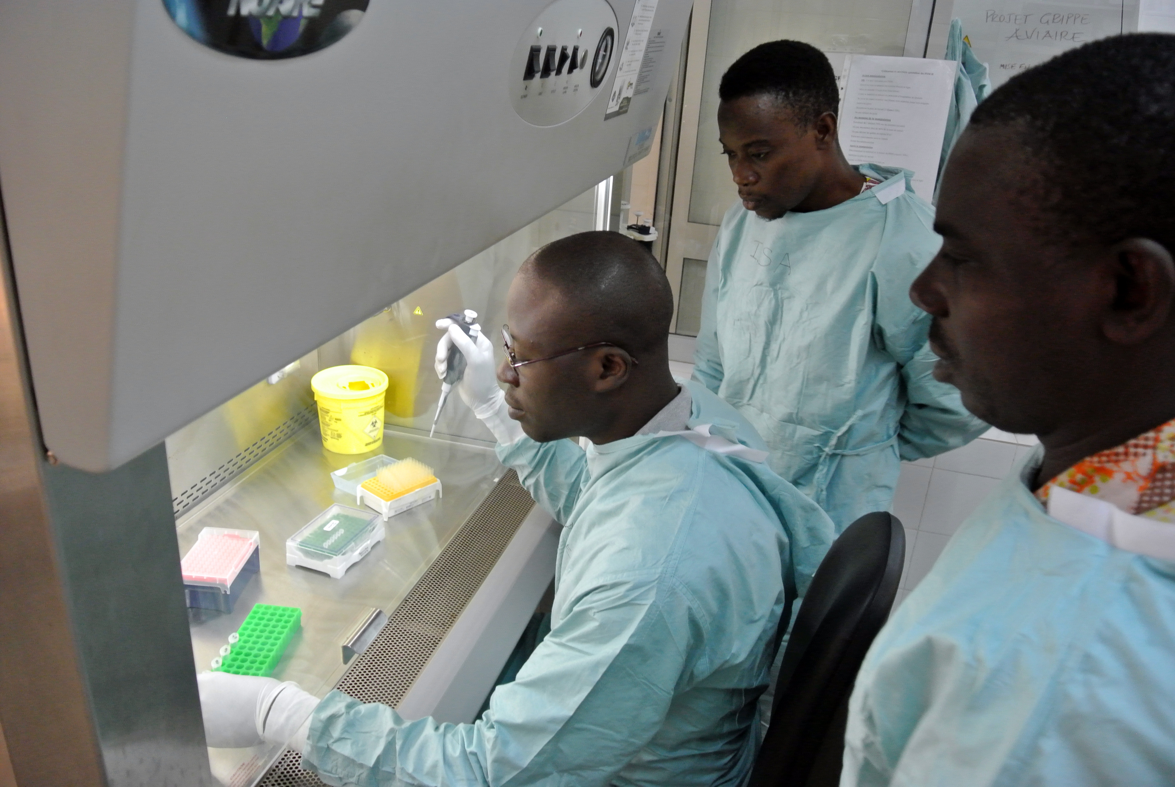 Einsatz der "Schnell einsetzbaren Expertengruppe Gesundheit" (SEEG ) in Togo, 2016: Lassafieber-Diagnostik