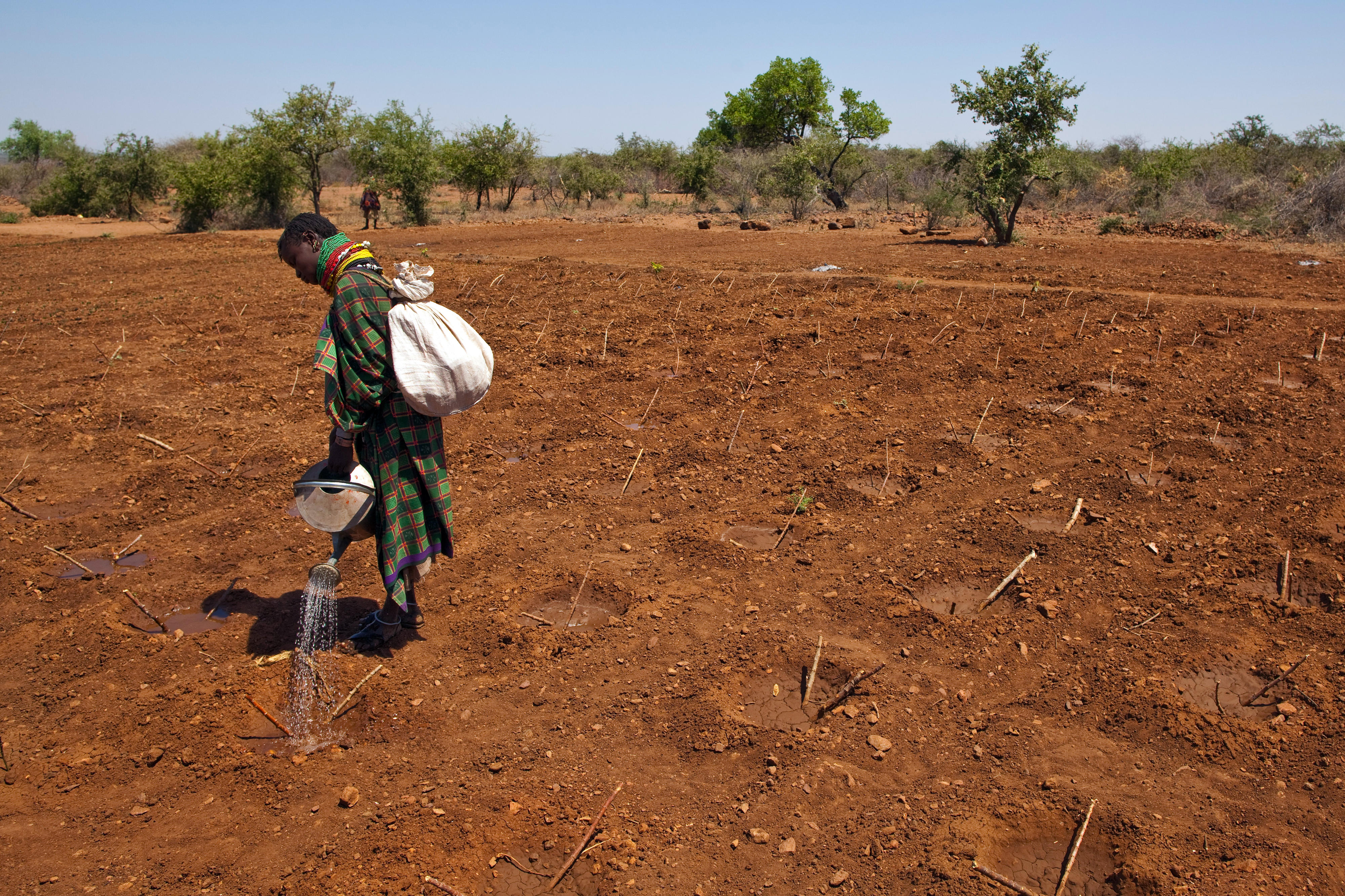 Working in the field in northern Kenya