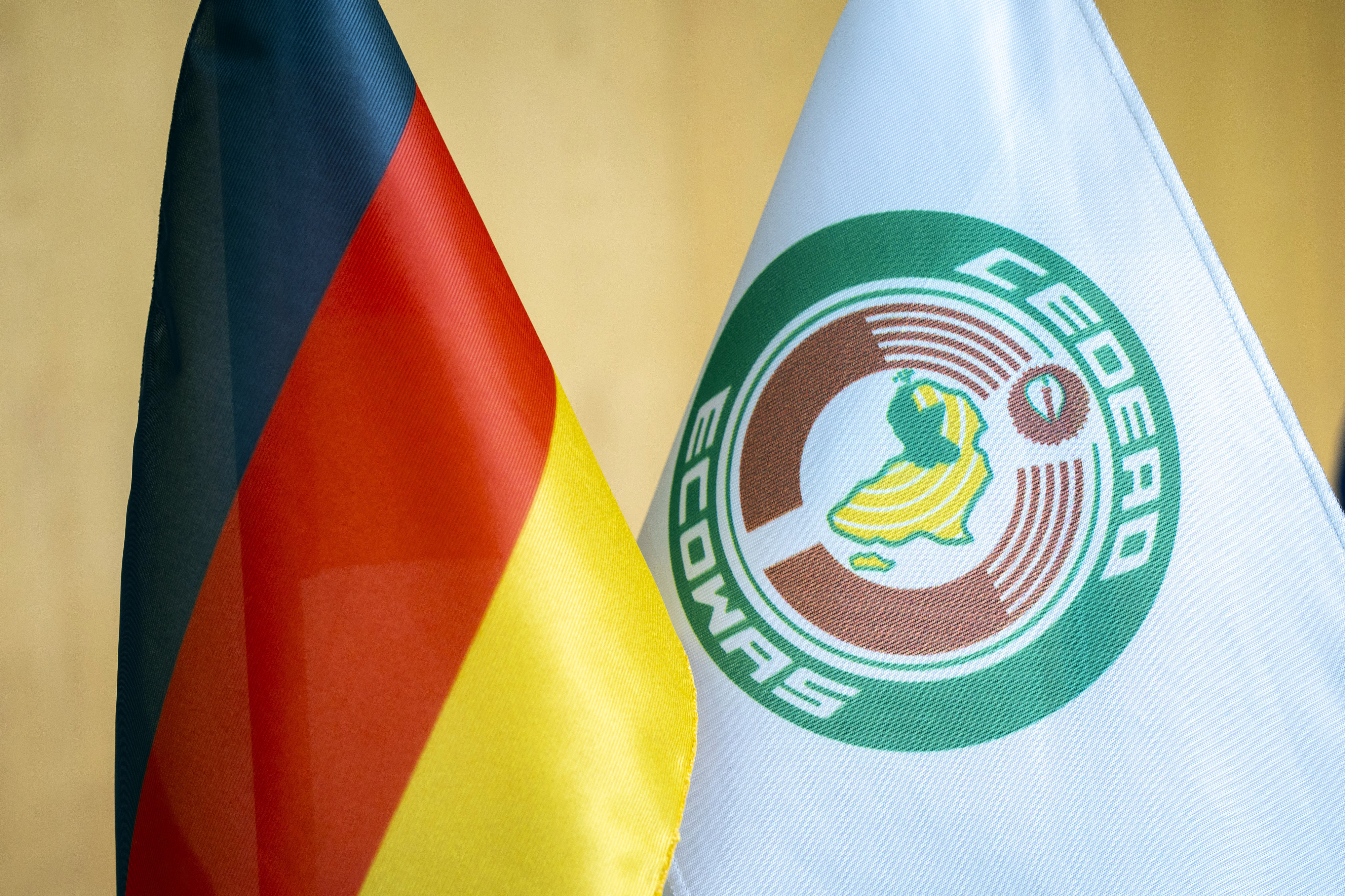 Flags of the Federal Republic of Germany and the Economic Community of West African States (ECOWAS)