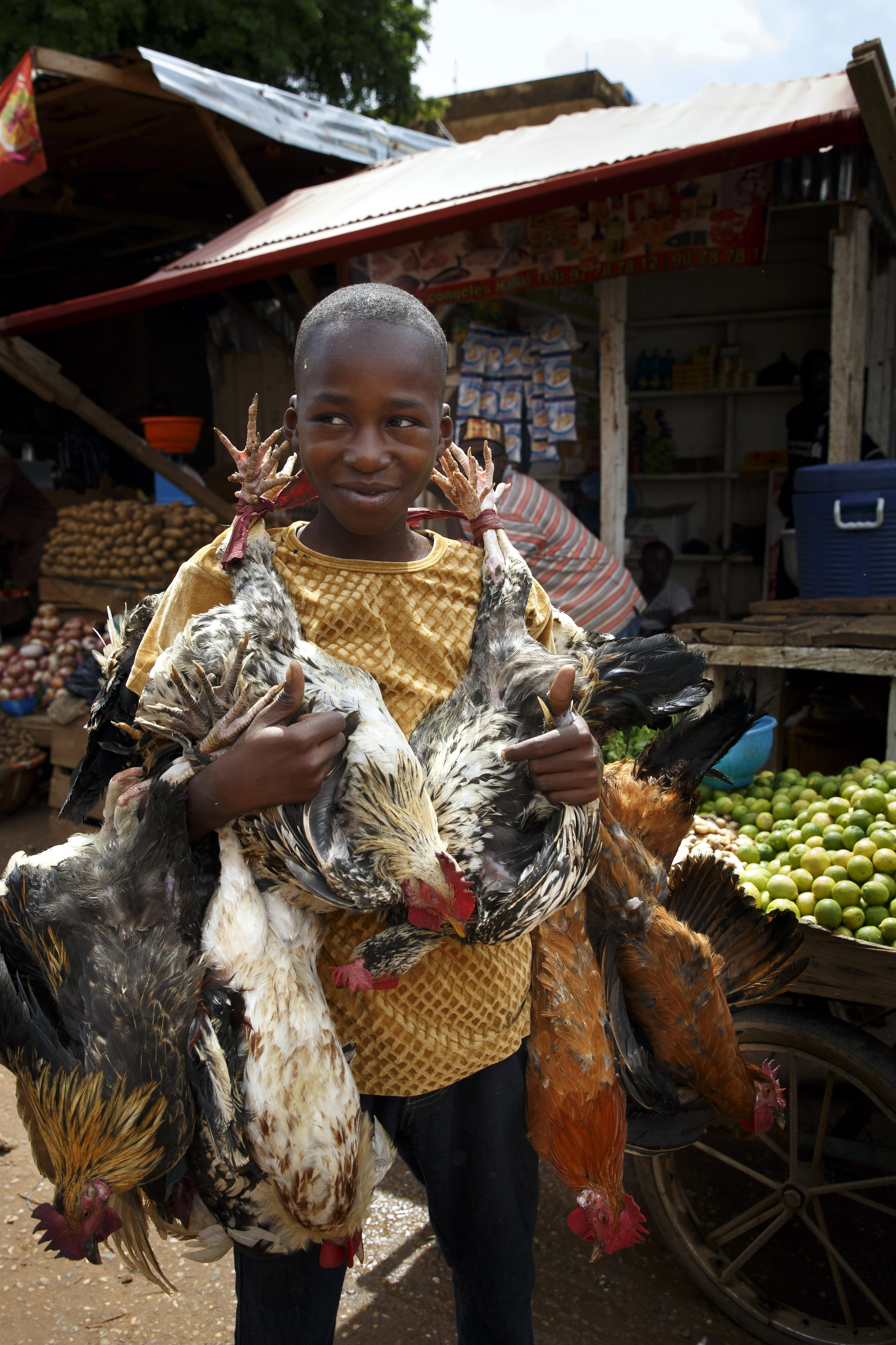 Ein Junge trägt lebende Hühner über den Markt in Niamey.