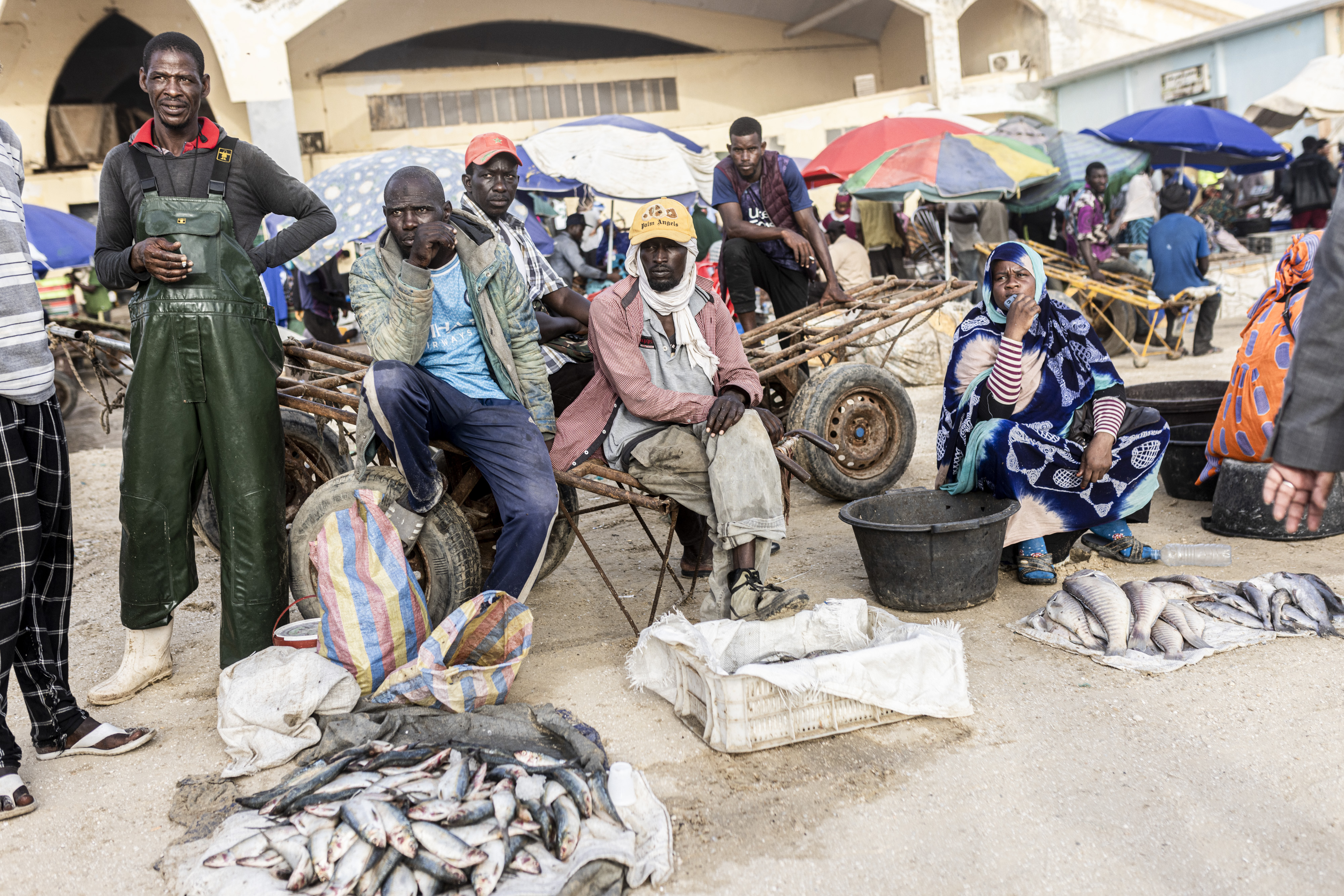 Fischer im Hafen von Nouakchott, Mauretanien