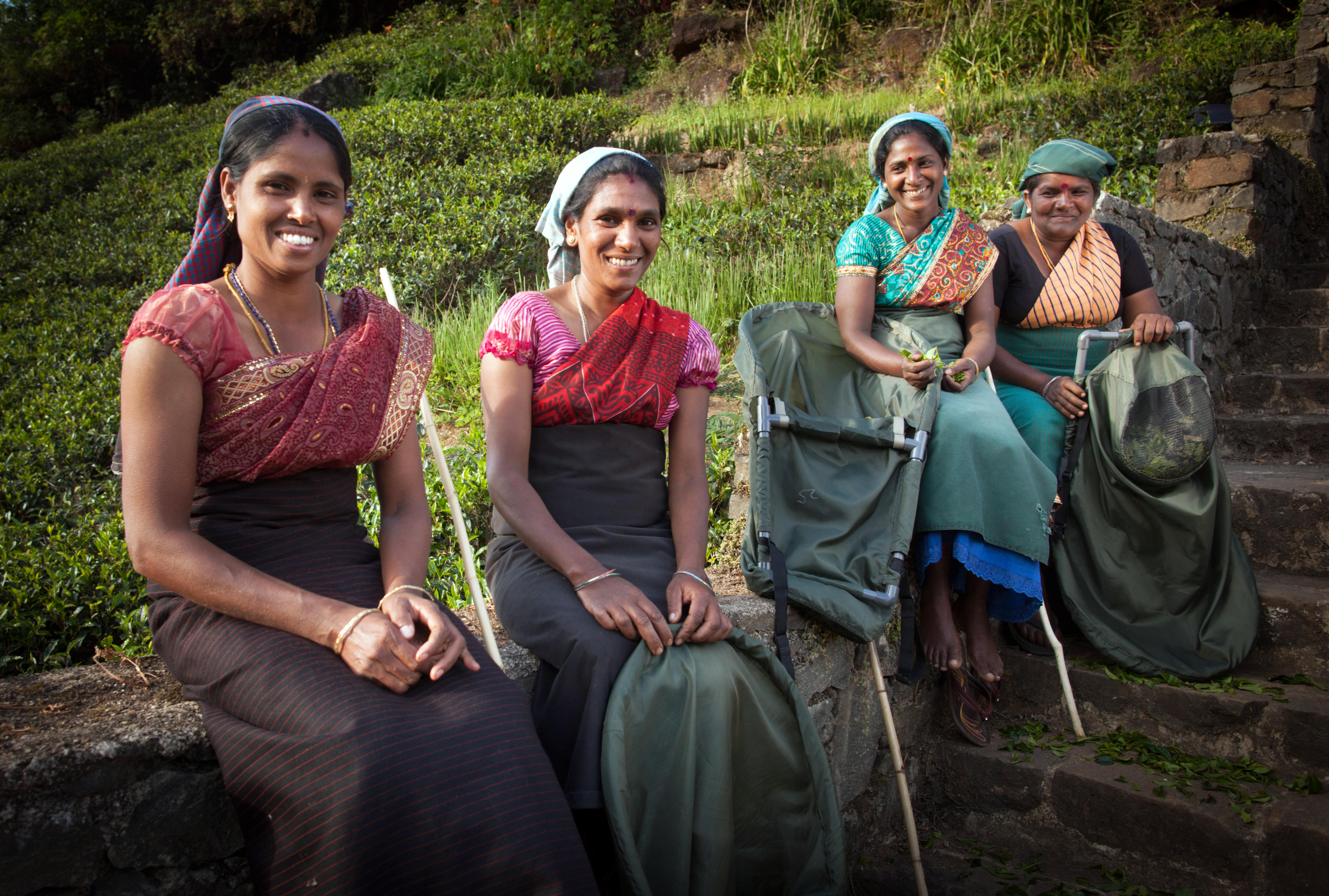 Teepflückerinnen in Nuwara Eliya, Sri Lanka