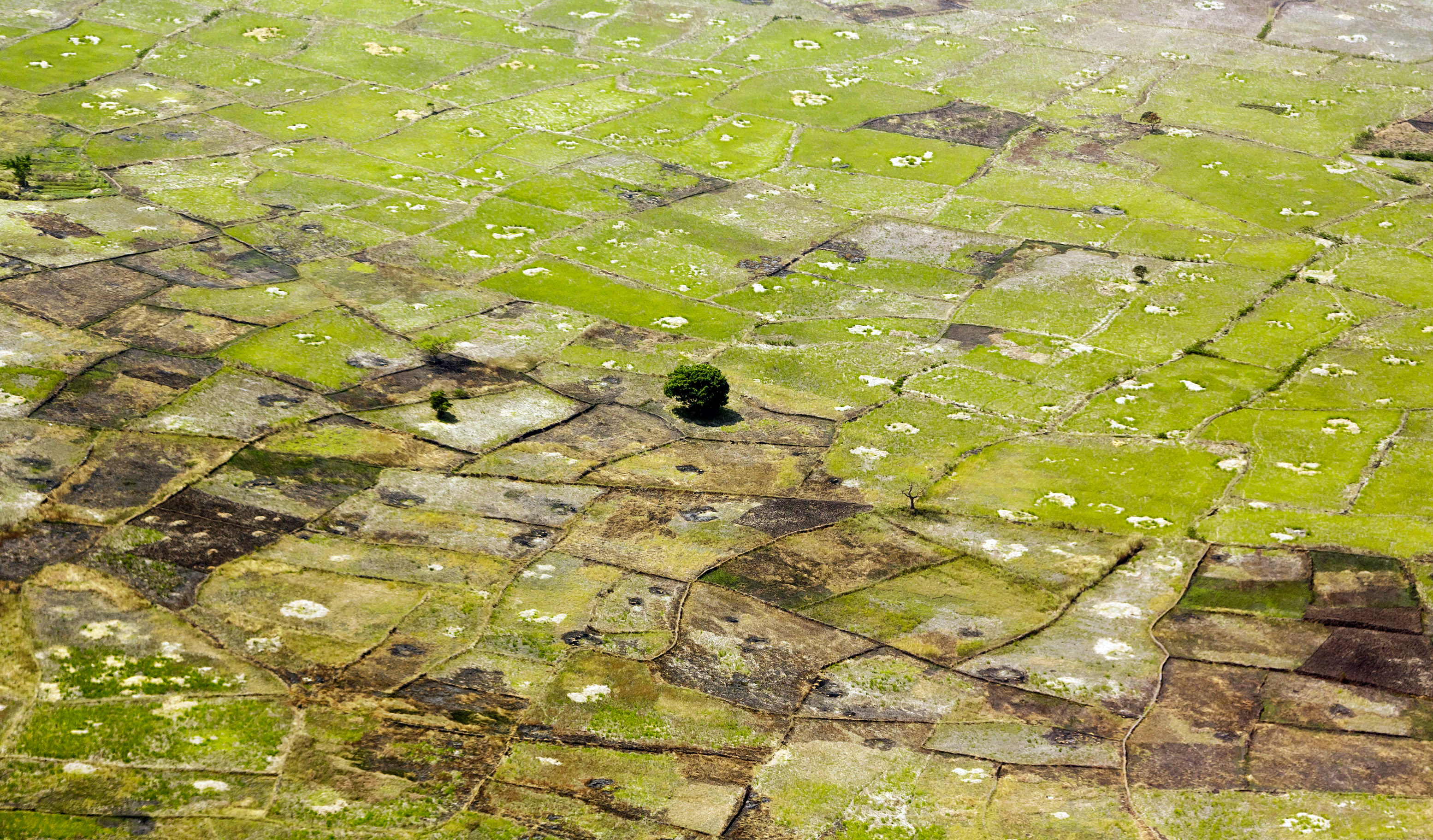 Blick auf Felder in einer landwirtschaftlich genutzten Region in der Nähe von Johannesburg, Südafrika