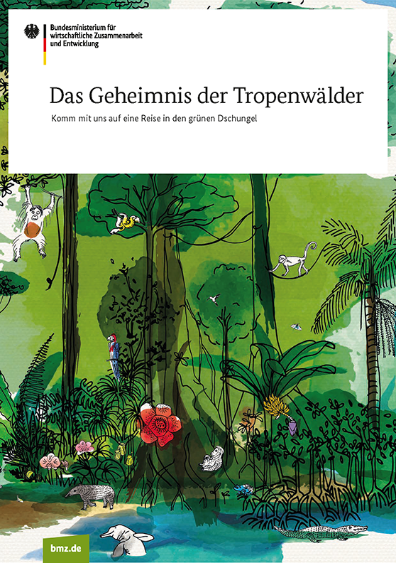 Das Geheimnis der Tropenwälder