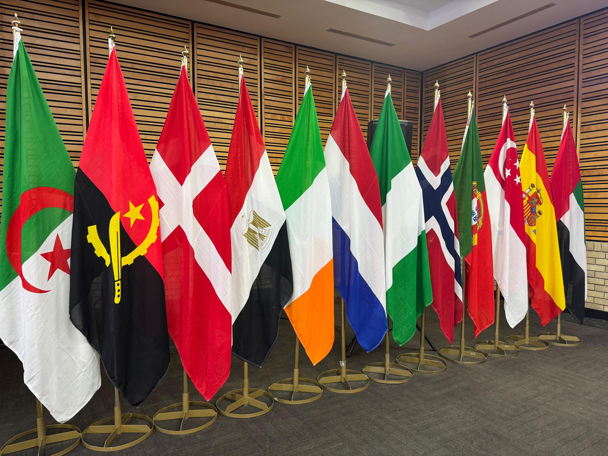Flaggen beim Treffen der G20-Entwicklungsminister*innen in Skukuza, Südafrika