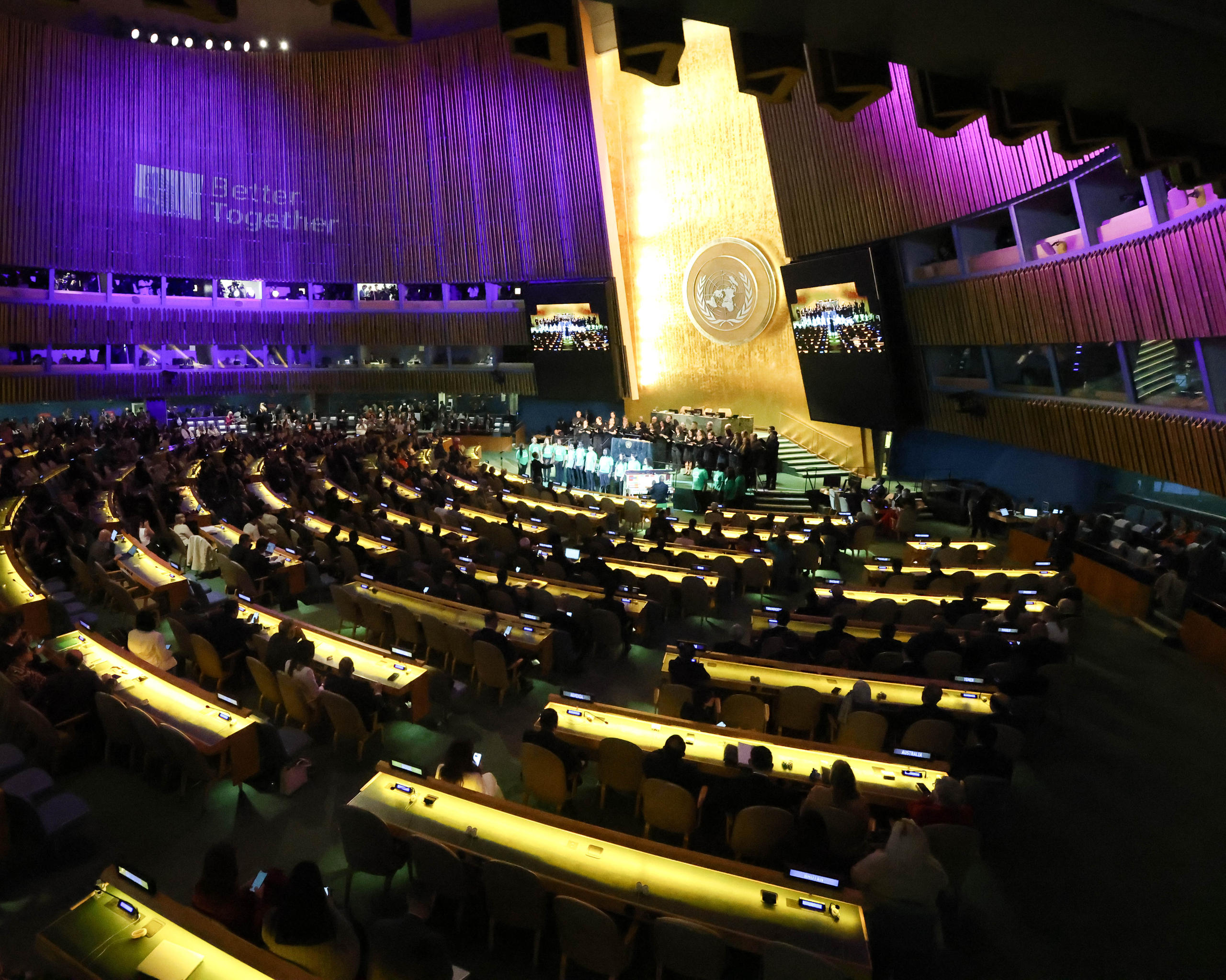 The UN General Assembly 