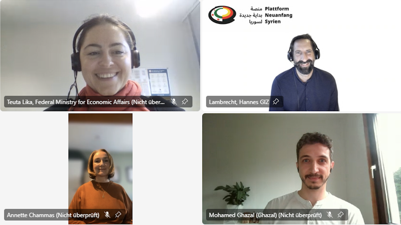 Screenshot of the panalists