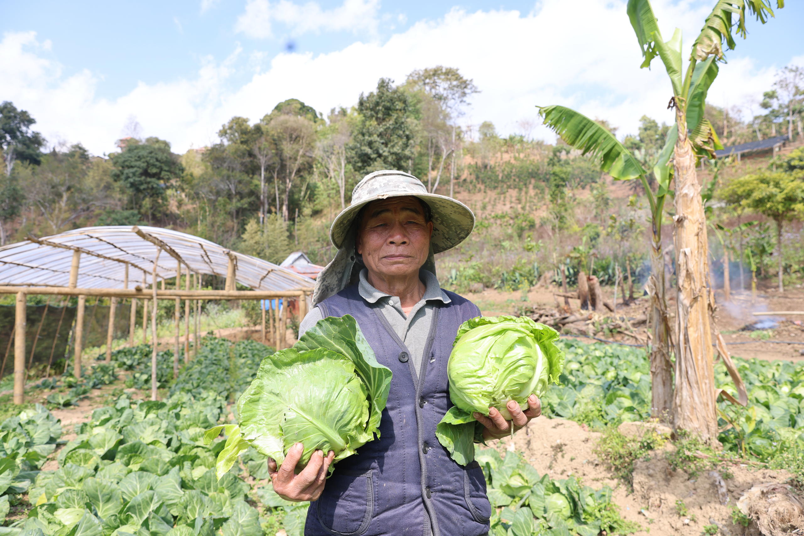 Ein Kleinbauer in Laos in einem Kohlfeld mit zwei Kohlköpfen in den Händen