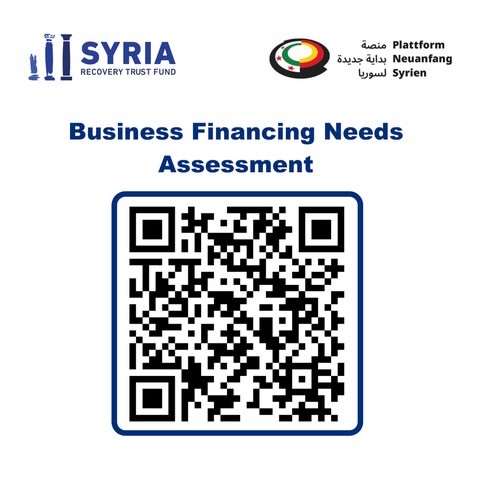 Business Financing Needs Assessment
