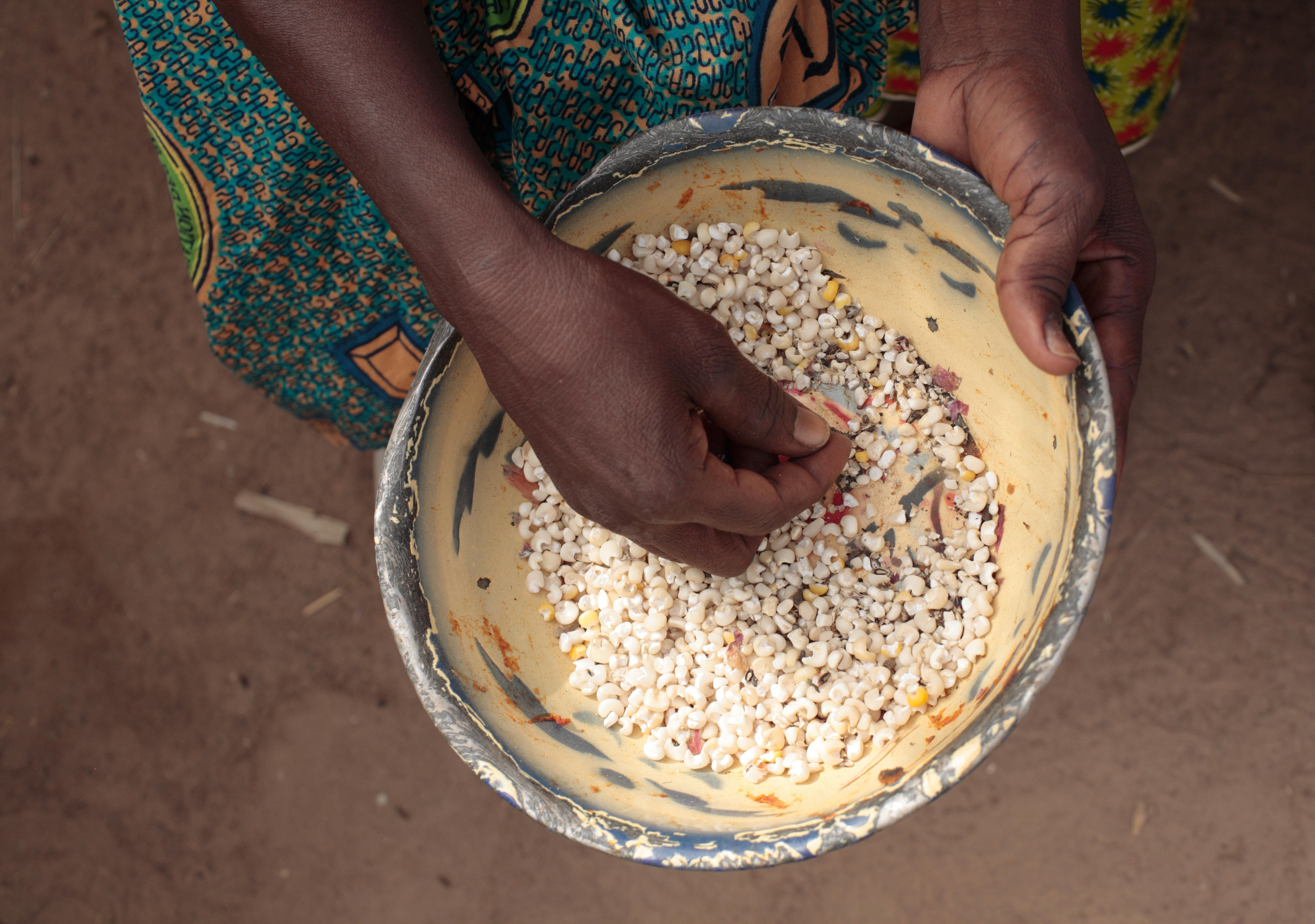 Auslesen von Insekten aus einer Schüssel Mais in Burkina Faso