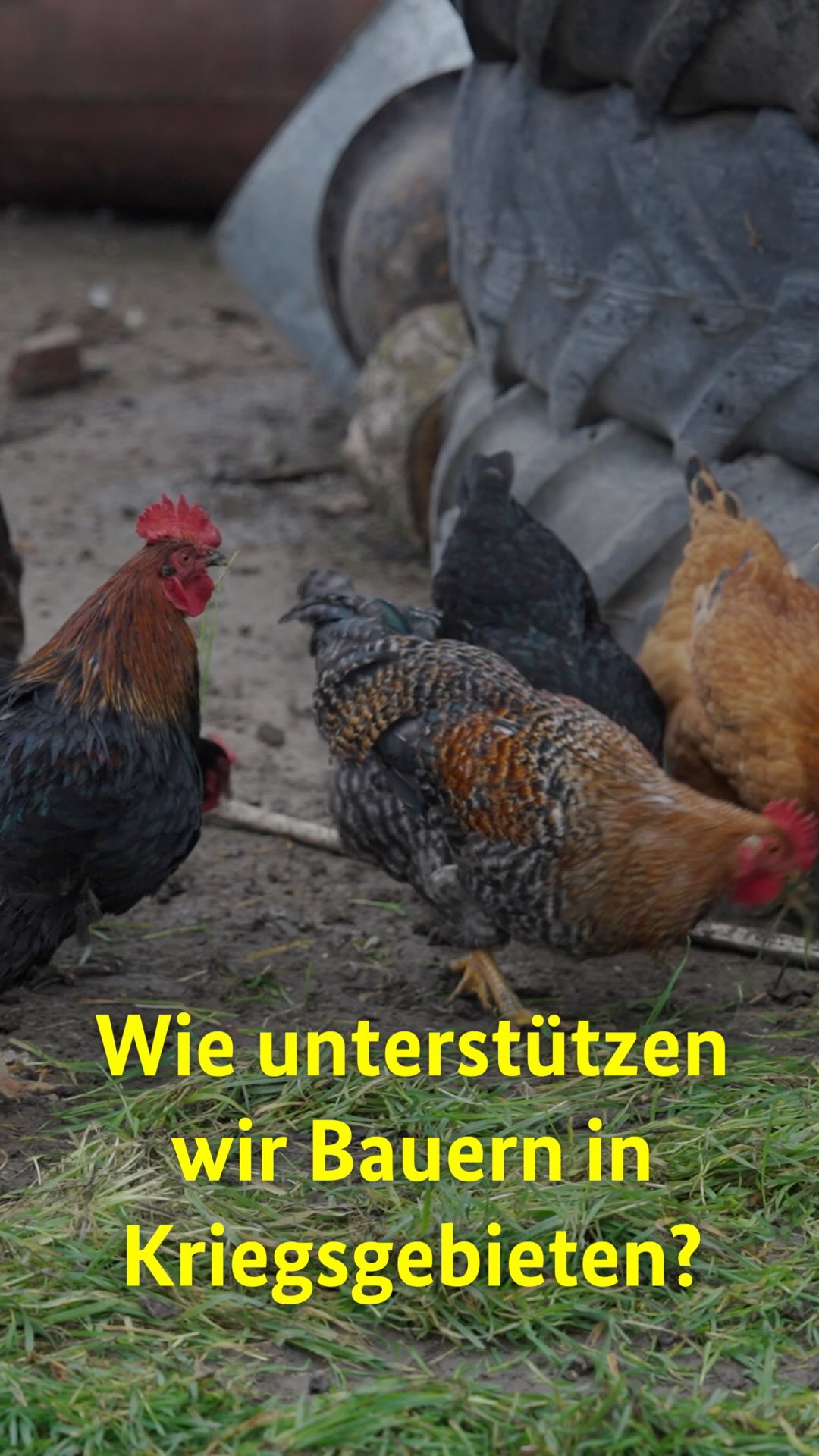 Instagram-Kanal des BMZ