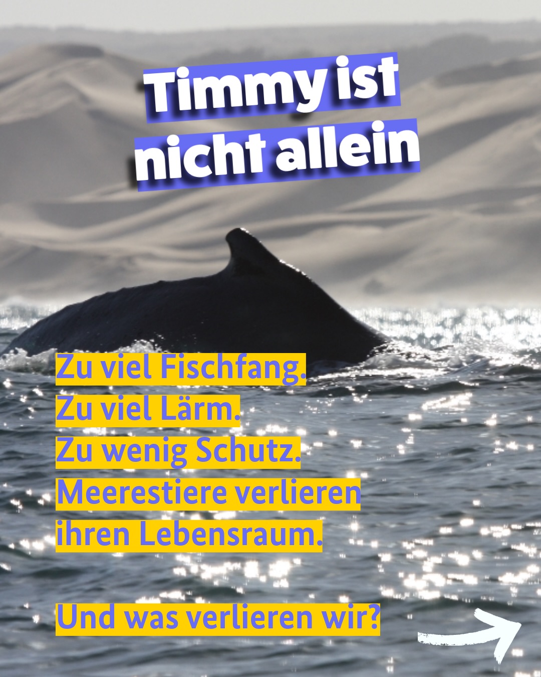 Instagram-Kanal des BMZ