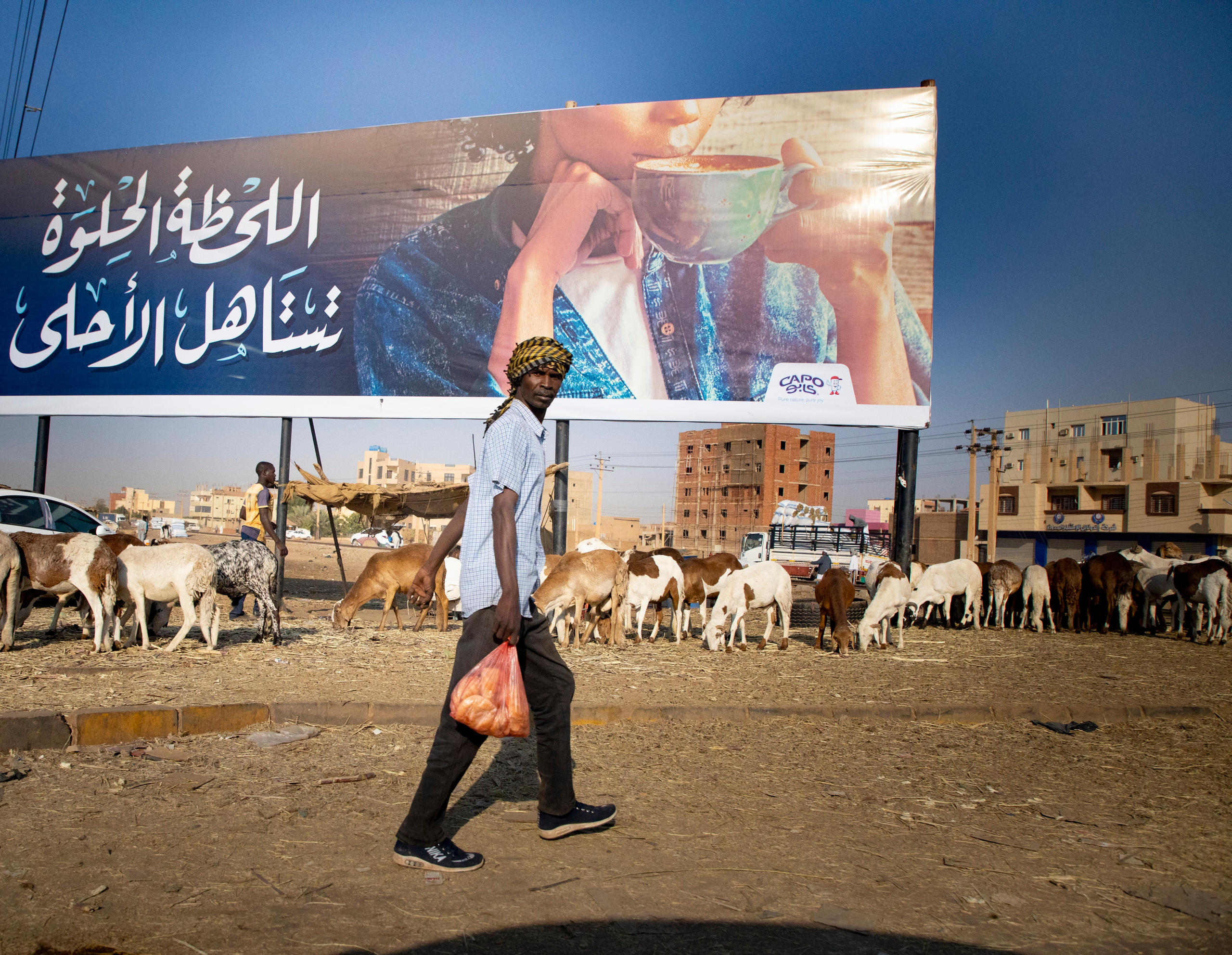 Ein Mann läuft auf einer in einer Stadt entlang. Neben ihm grasen Ziegen.