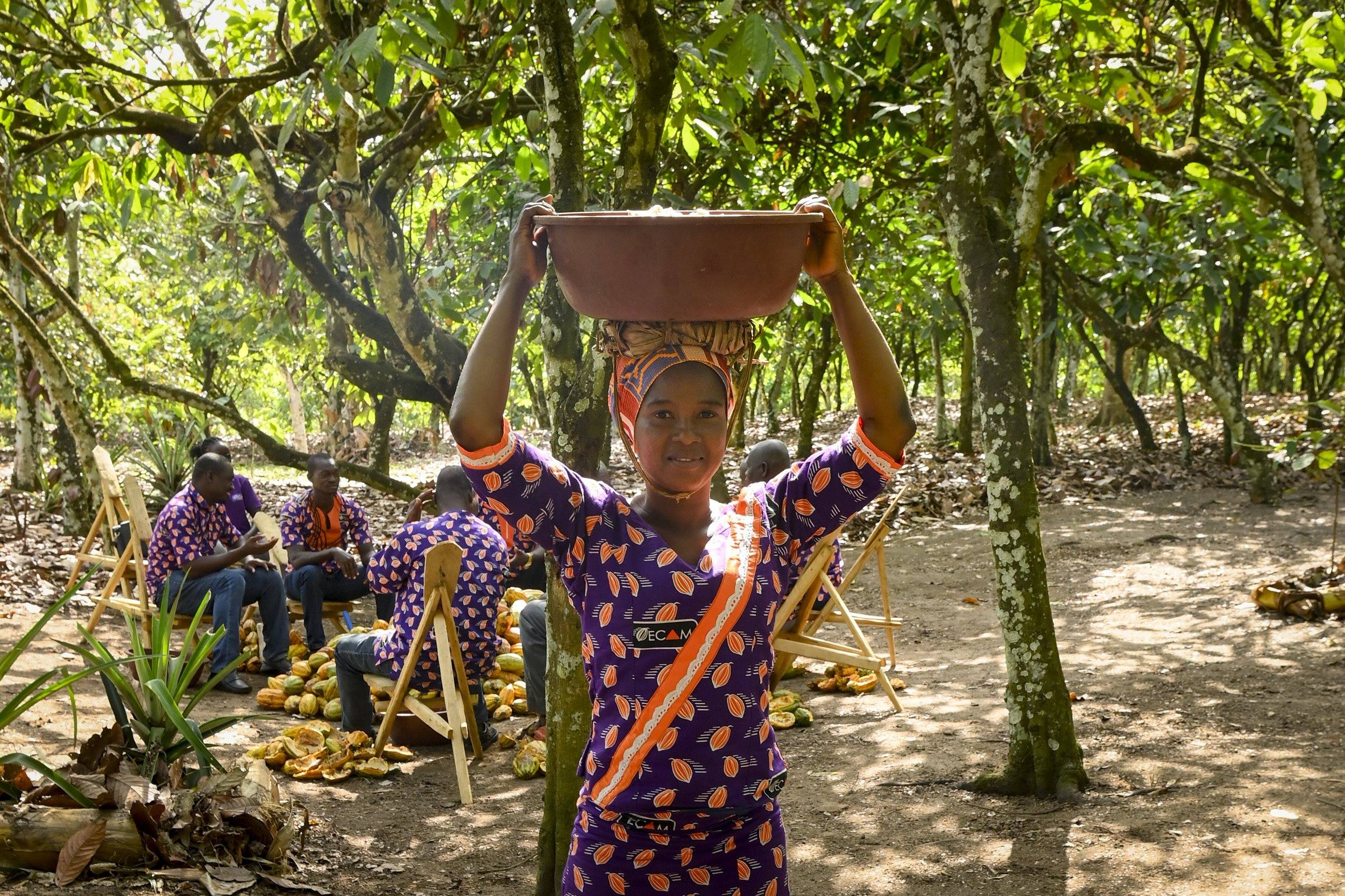 Eine Frau mitten einer Kakaoplantage mit einer Wanne auf dem Kopf.