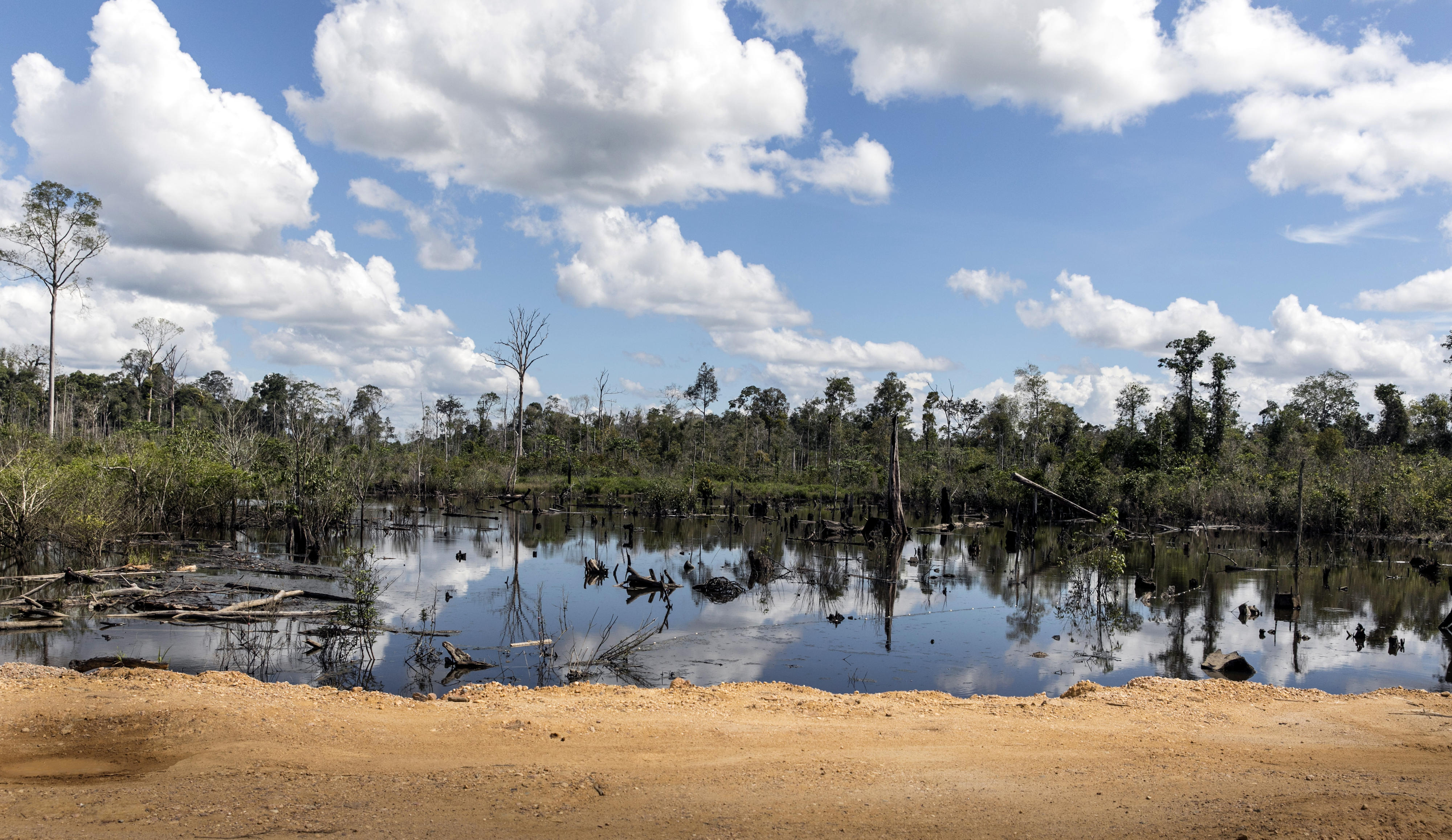 Entwaldete Landschaft bei Labanan Makarti auf Borneo