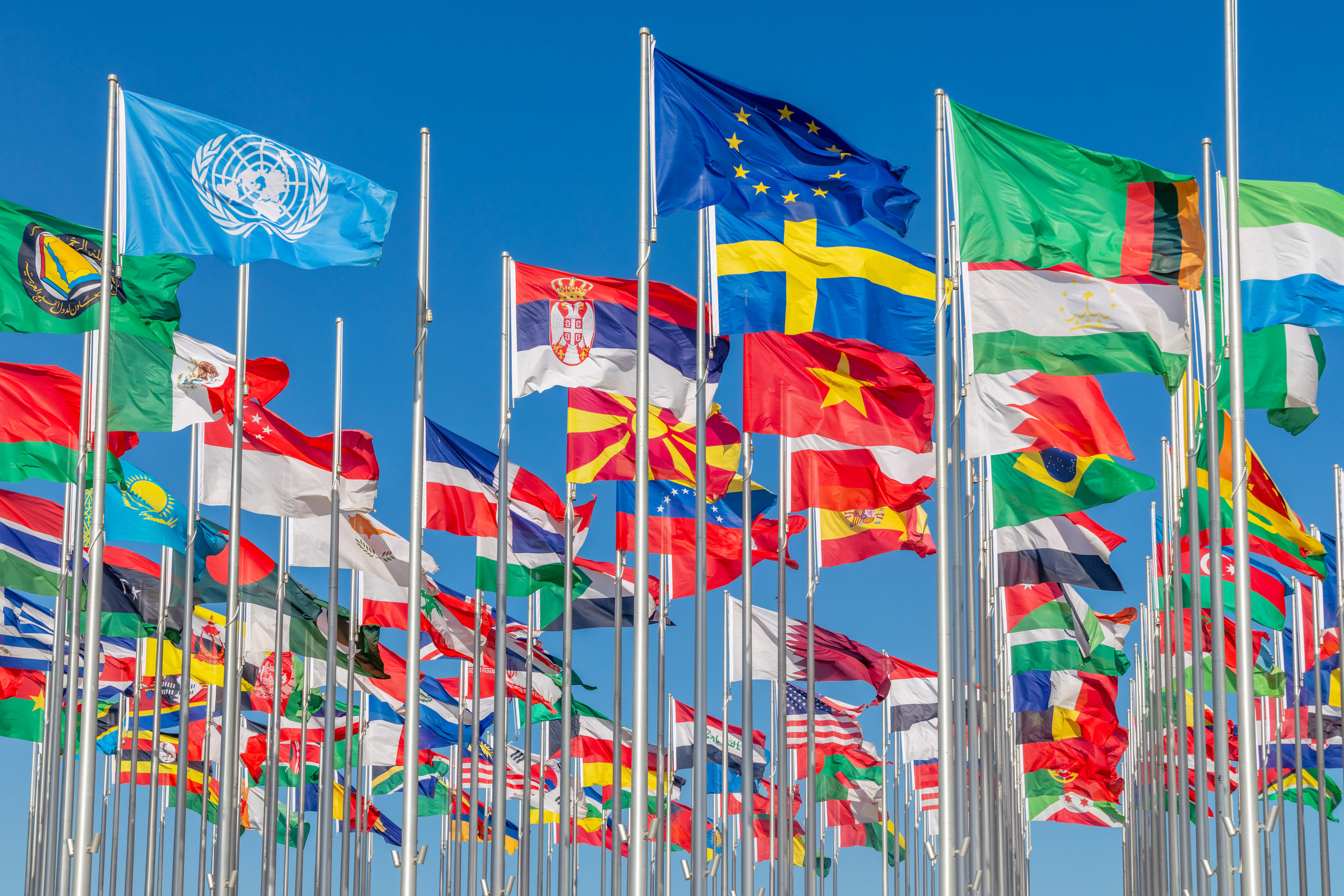 Flaggen vieler Länder und der Vereinten Nationen wehen im Wind.