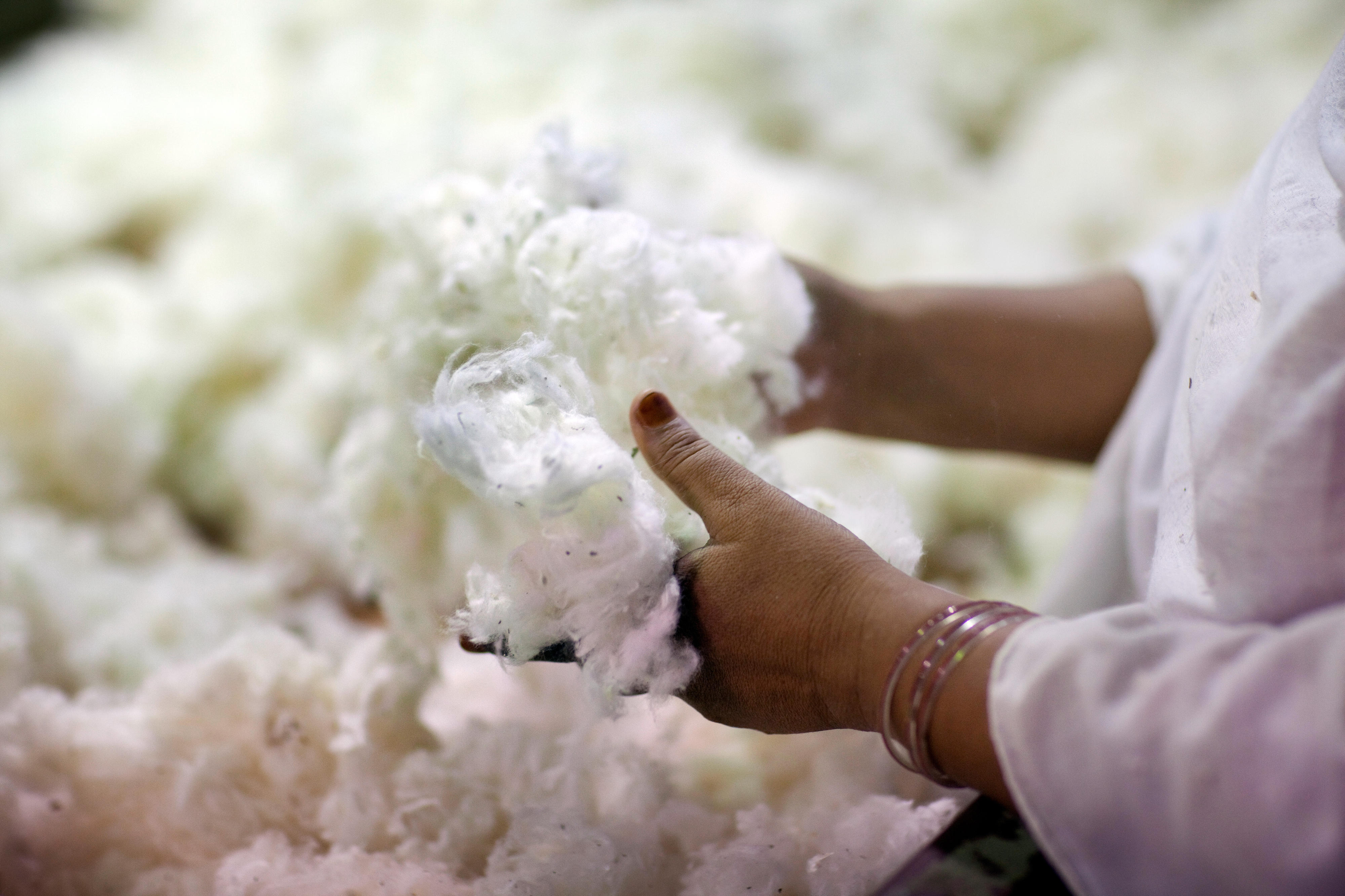 In einer Textilfabrik in Faisalabad, Pakistan, wird Baumwolle auf Verunreinigungen untersucht.