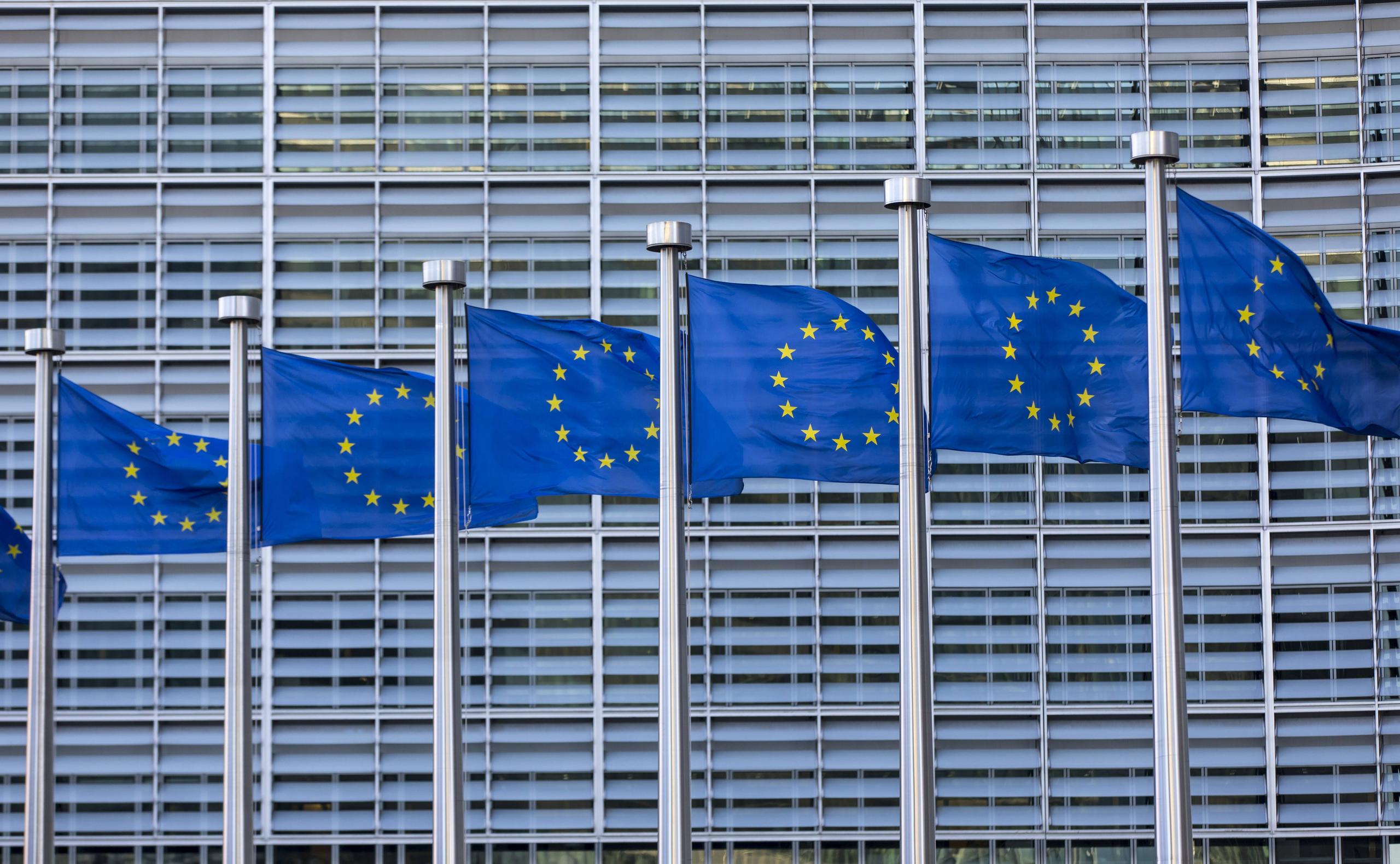 Sechs Europafahnen vor einem Gebäude