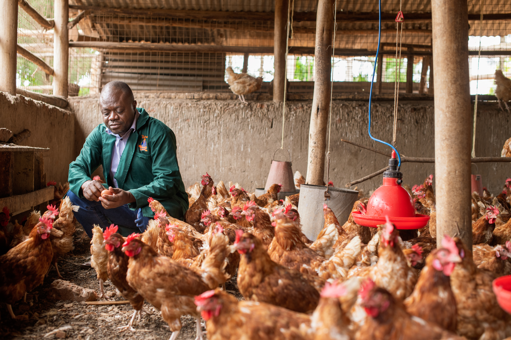 Thanks to solar-powered irrigation, Kilenzi Yahaya’s farm is thriving.