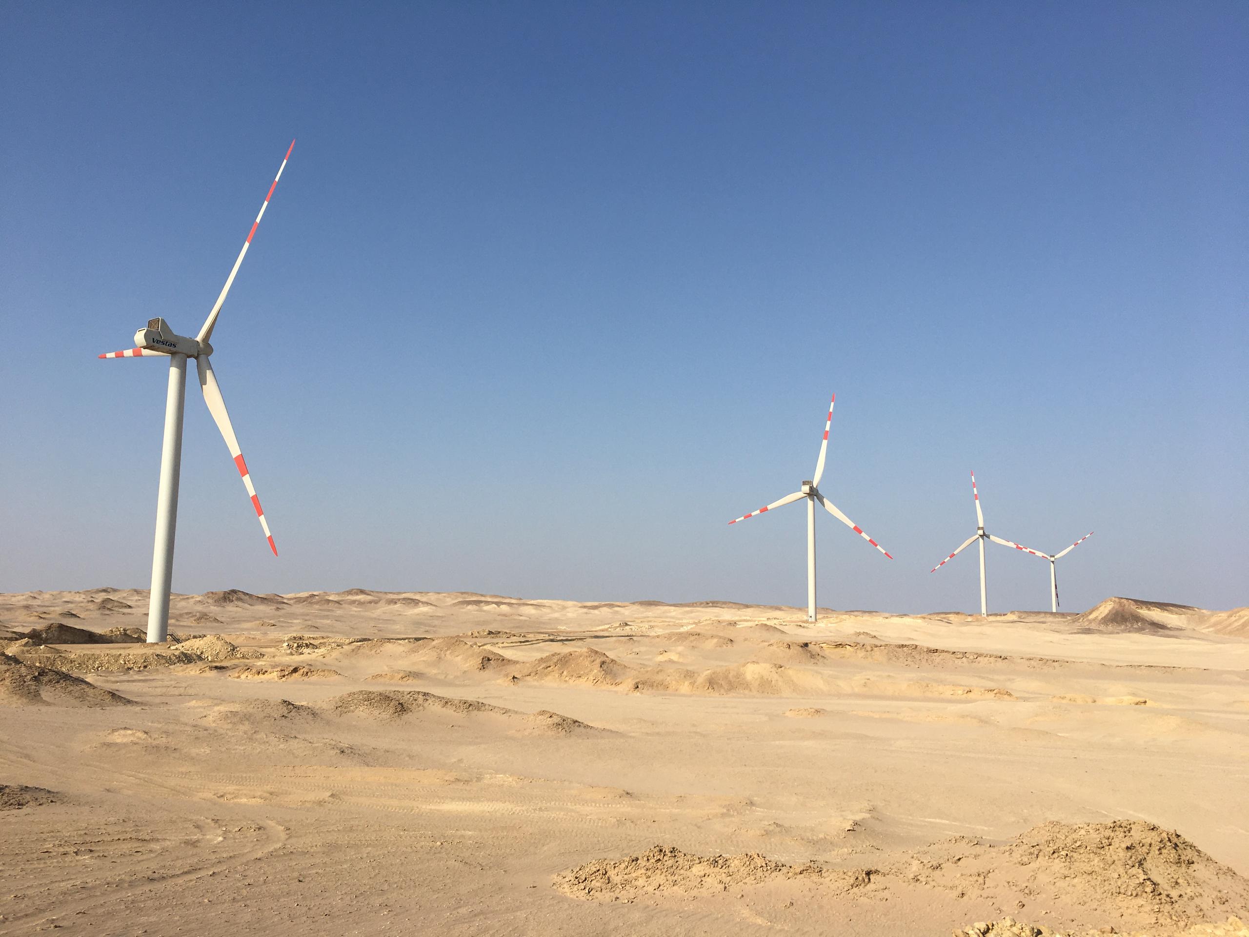 Four of the 70 wind turbines at the Gulf of Suez wind farm.