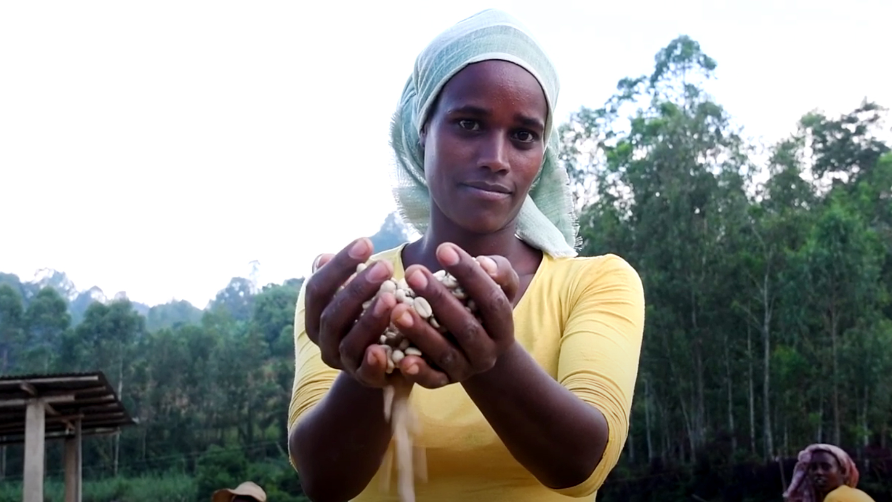 Still image from the video: Coffee and honey from the forests of Ethiopia