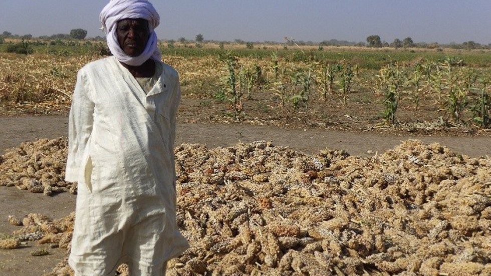 Measures for adapting agriculture to climate change in the Lake Chad basin