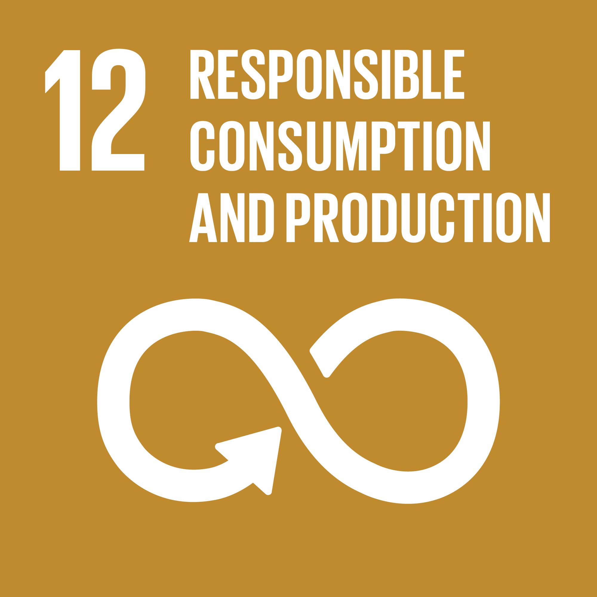SDG 12: Responsible consumption and production