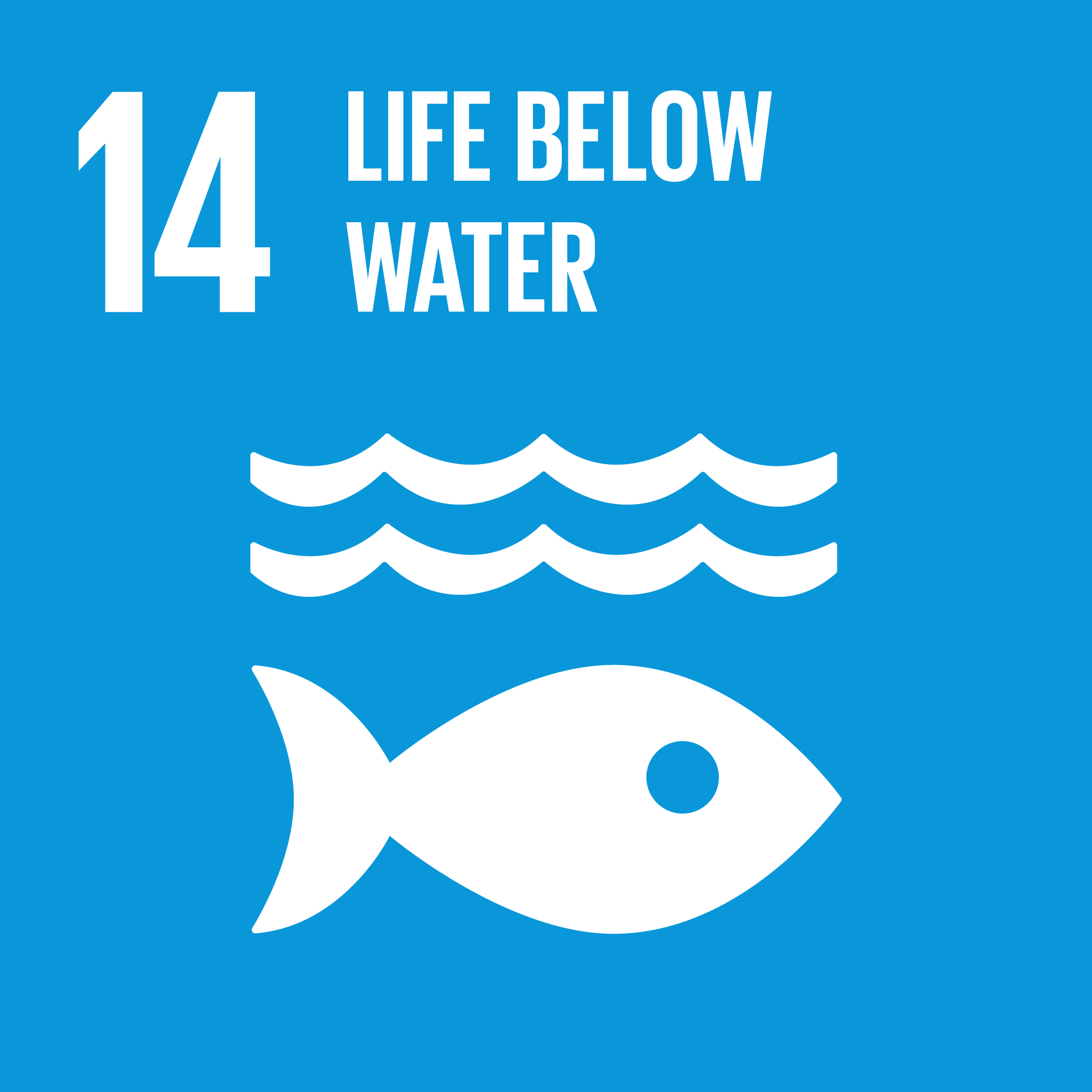 SDG 14: Life below water