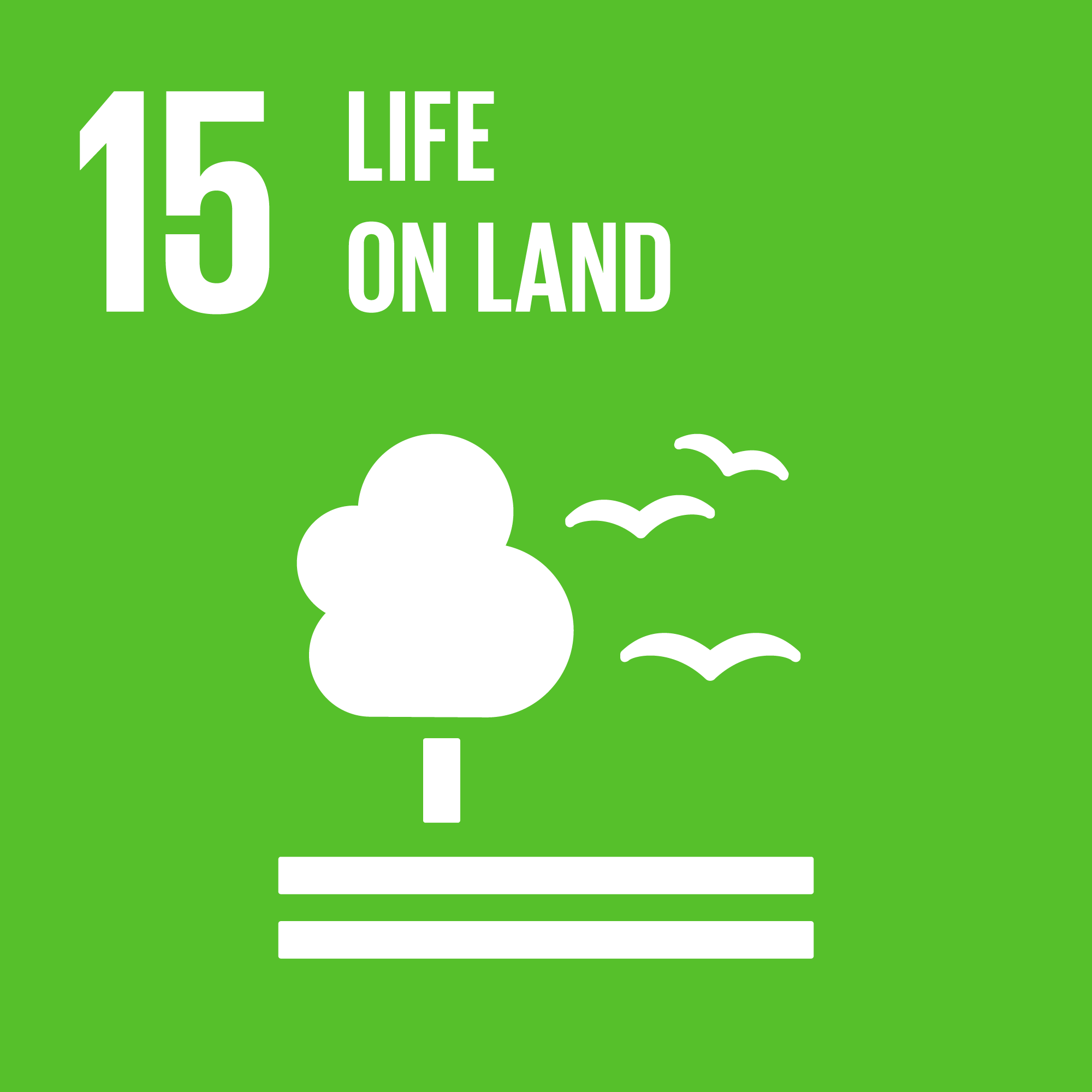 SDG 15: Life on land