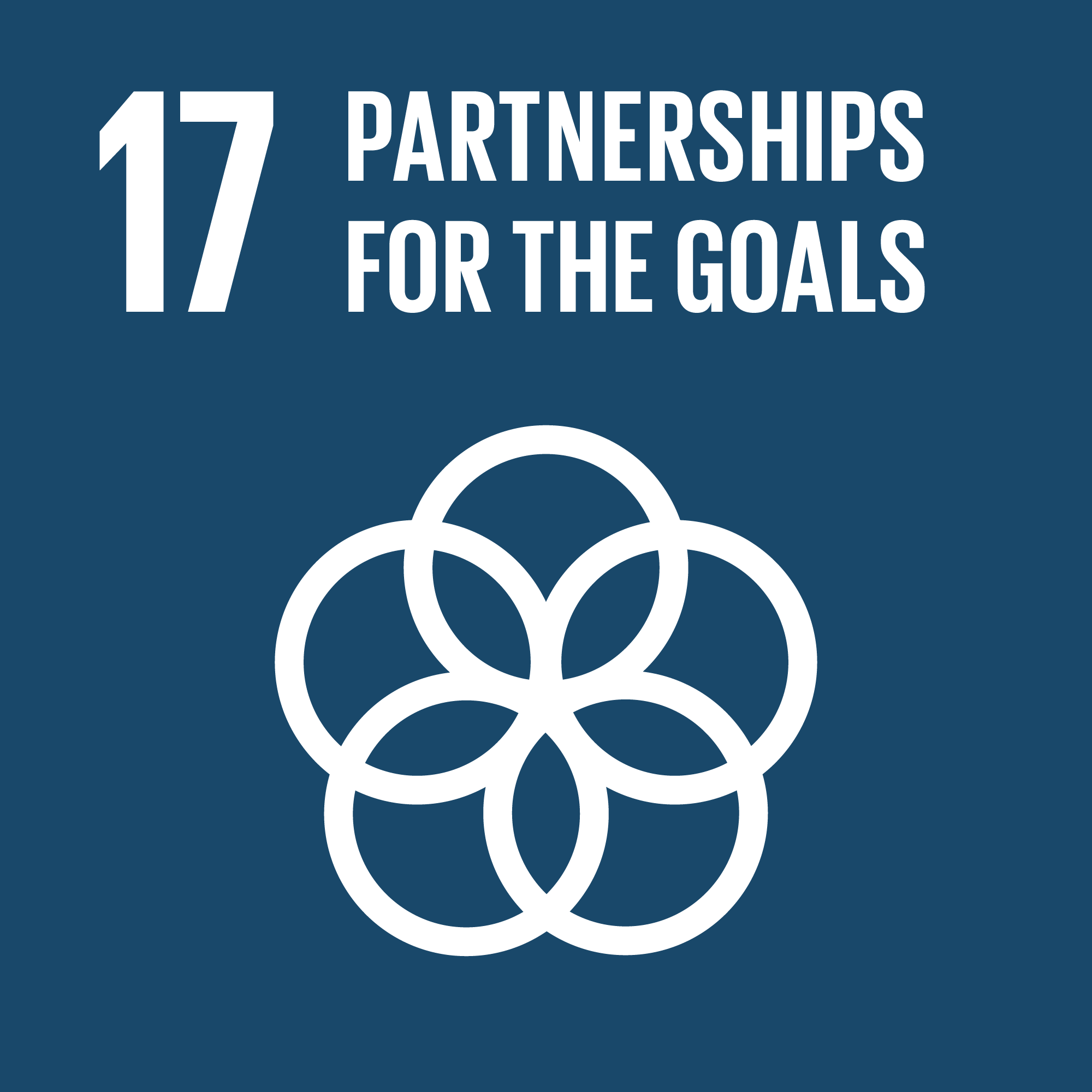 SDG 17: Partnerships for the goals