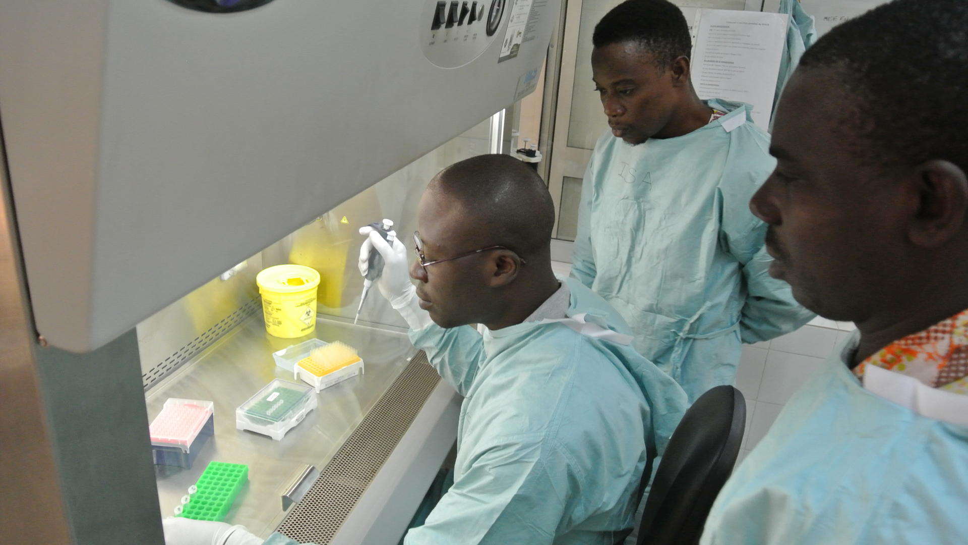 Einsatz der Schnell Einsetzbaren Expert*innengruppe Gesundheit (SEEG) in Togo, 2016: Lassafieber-Diagnostik