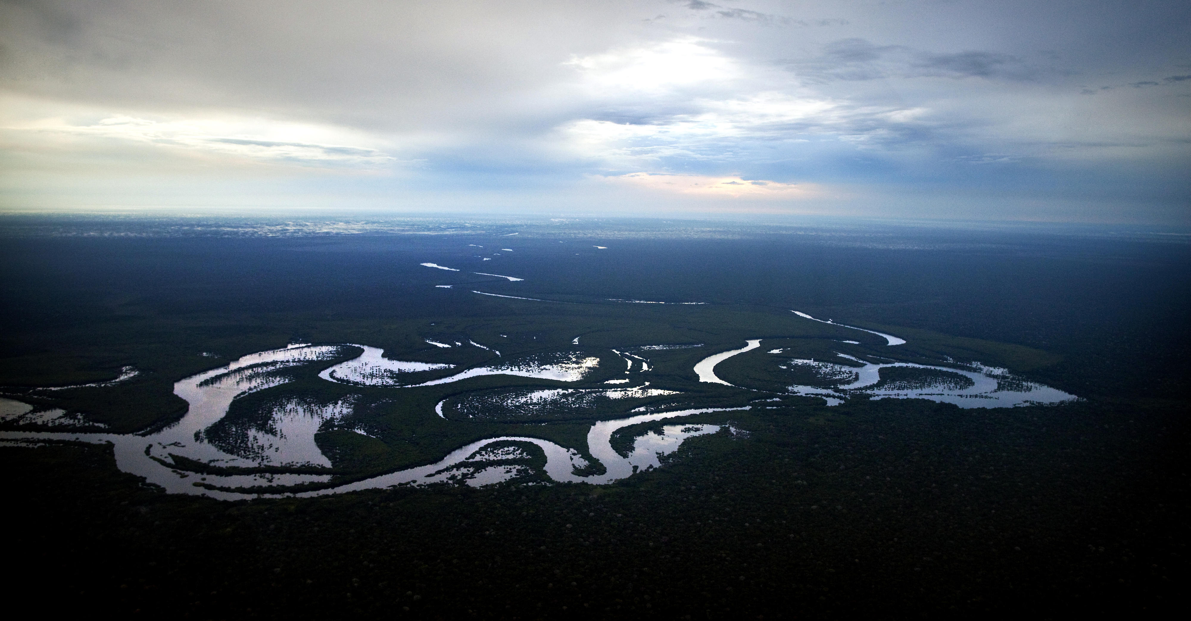 Waldlandschaft mit Flussarmen im Bundesstaat Amazonas, Brasilien