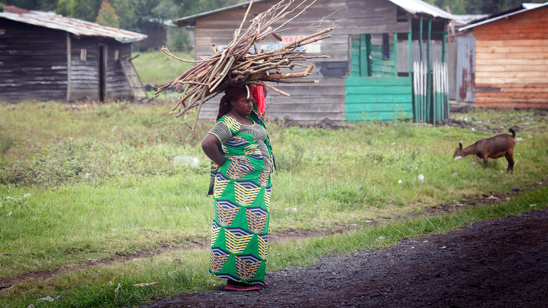 Eine Frau trägt Feuerholz in Kibati Goma, DR Kongo