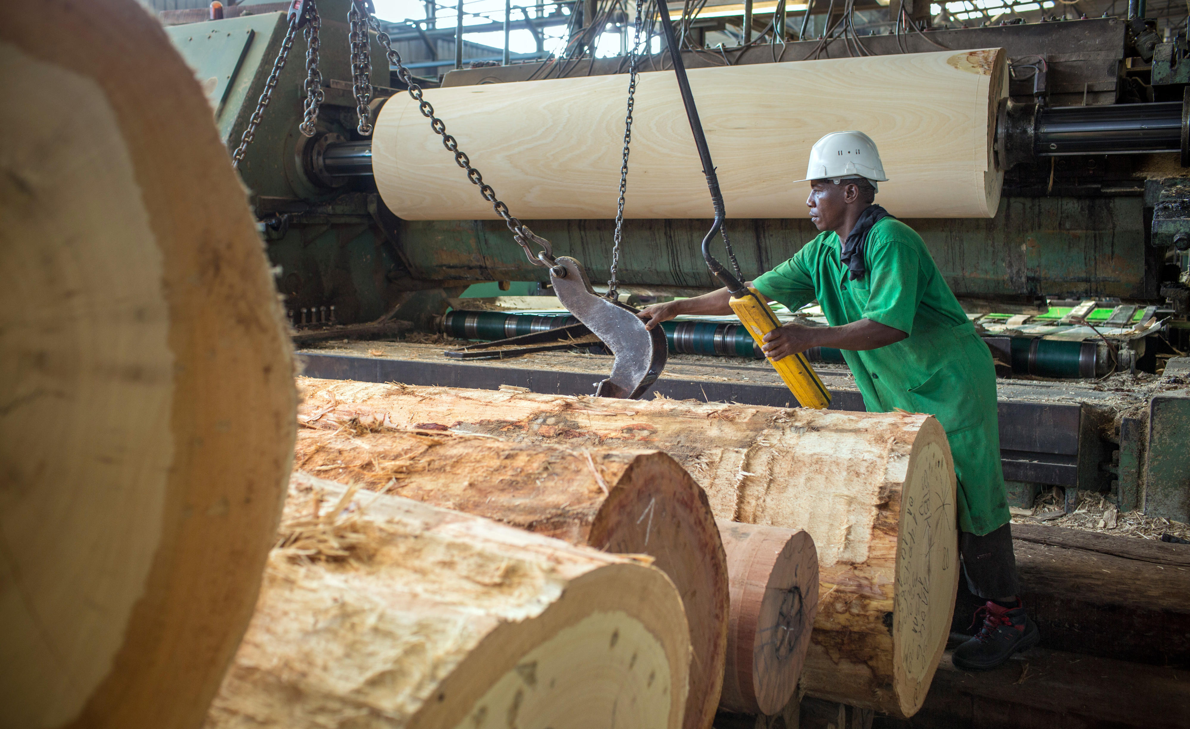 Furnierproduktion in einem Betrieb in Douala, Kamerun