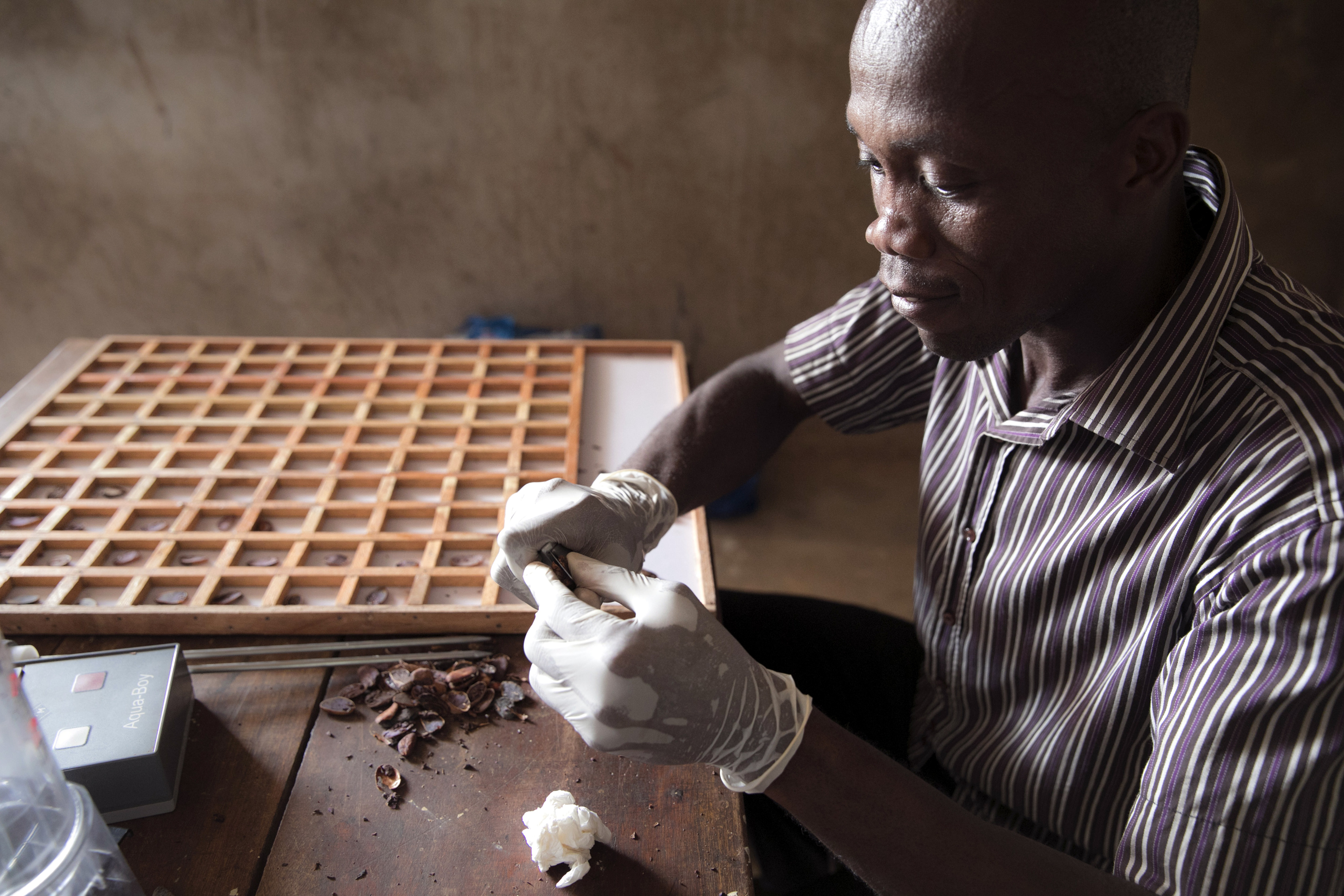 Quality control of cocoa beans at the cooperative PRO-PLANTEURS