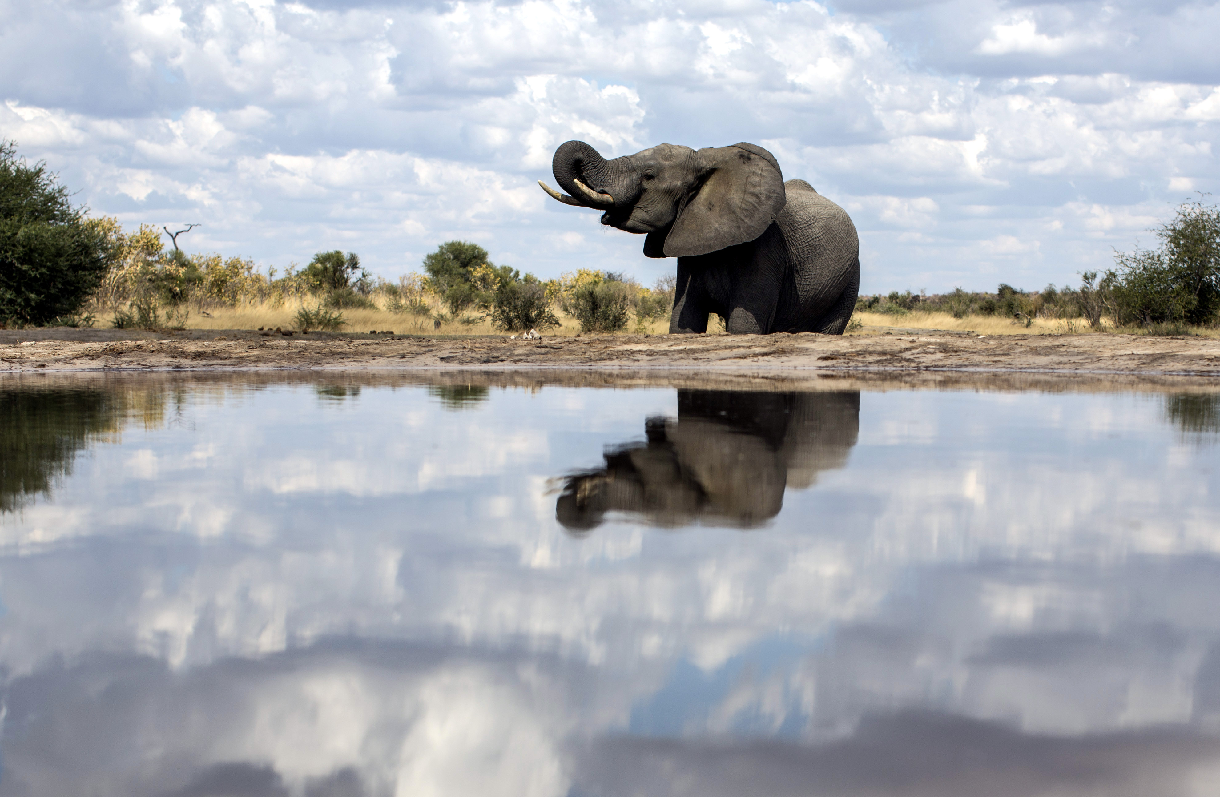 Elefant an einer solarbetriebenen Wasserstelle im Khaudum-Nationalpark in Namibia