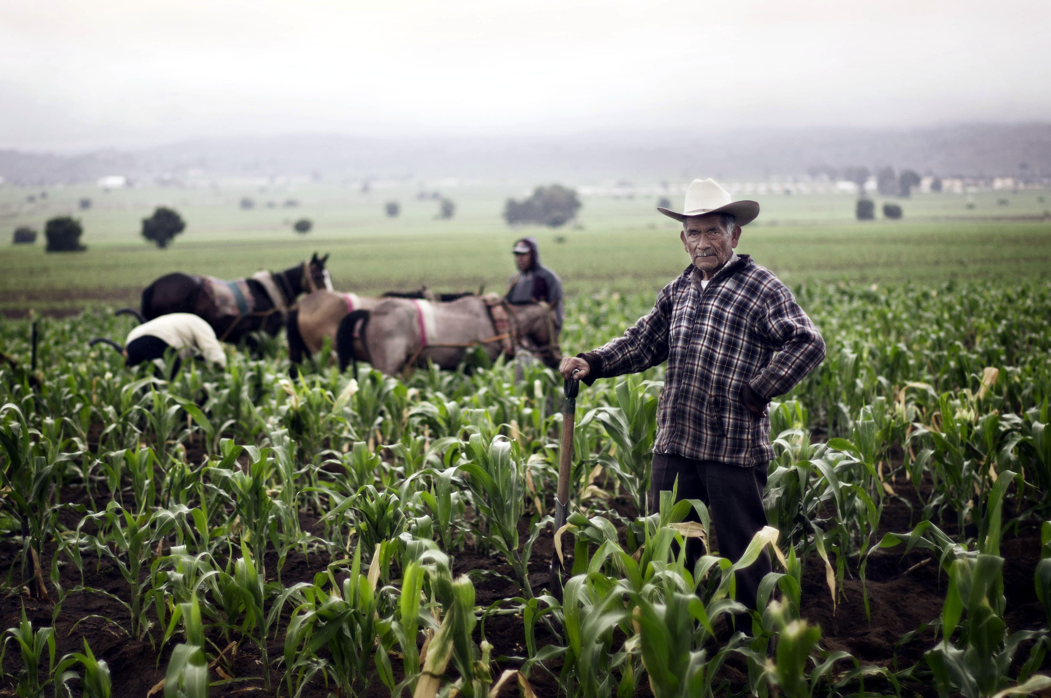 Farmer in Puebla, Mexico