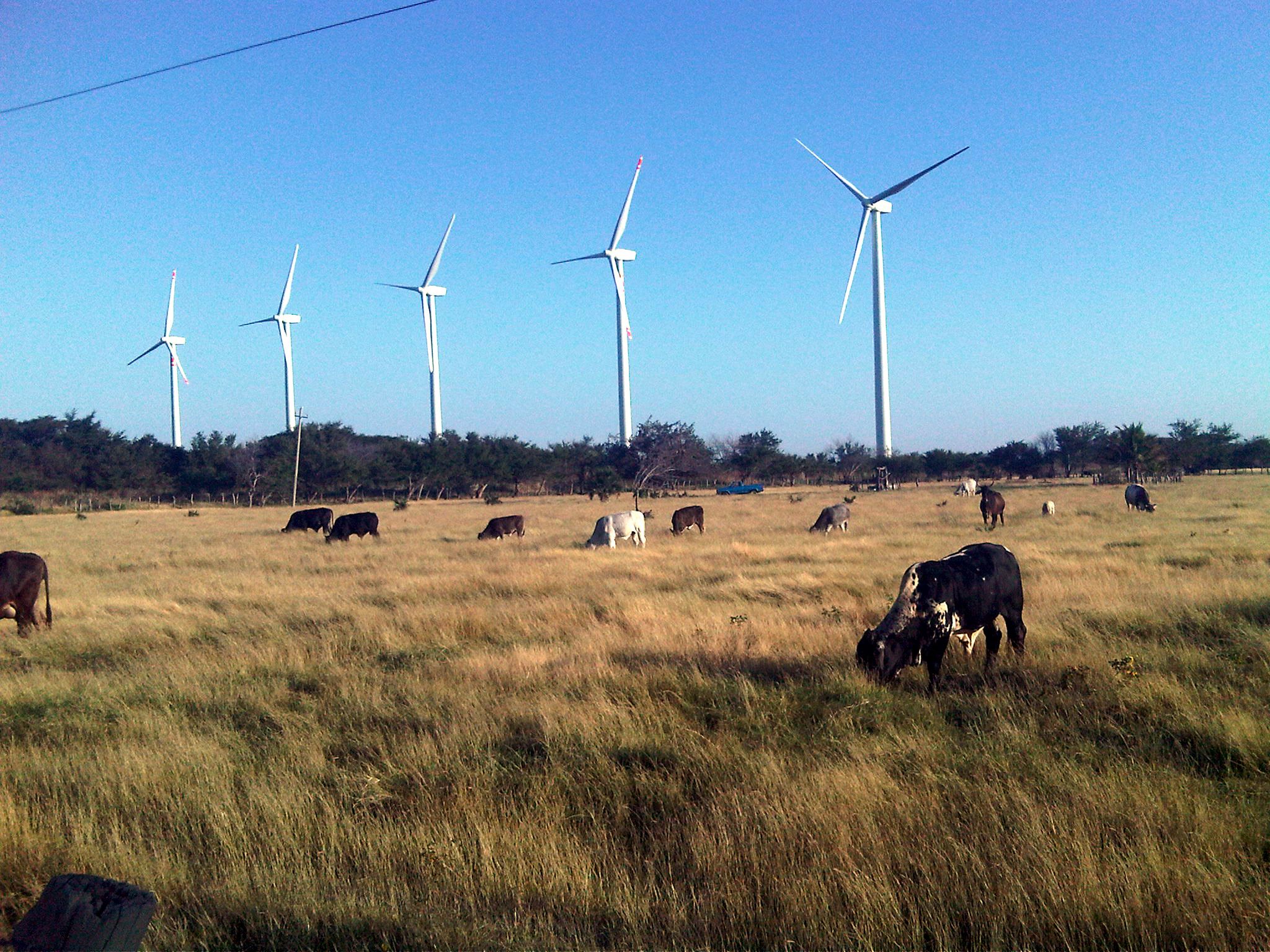 Wind power plants in Mexico