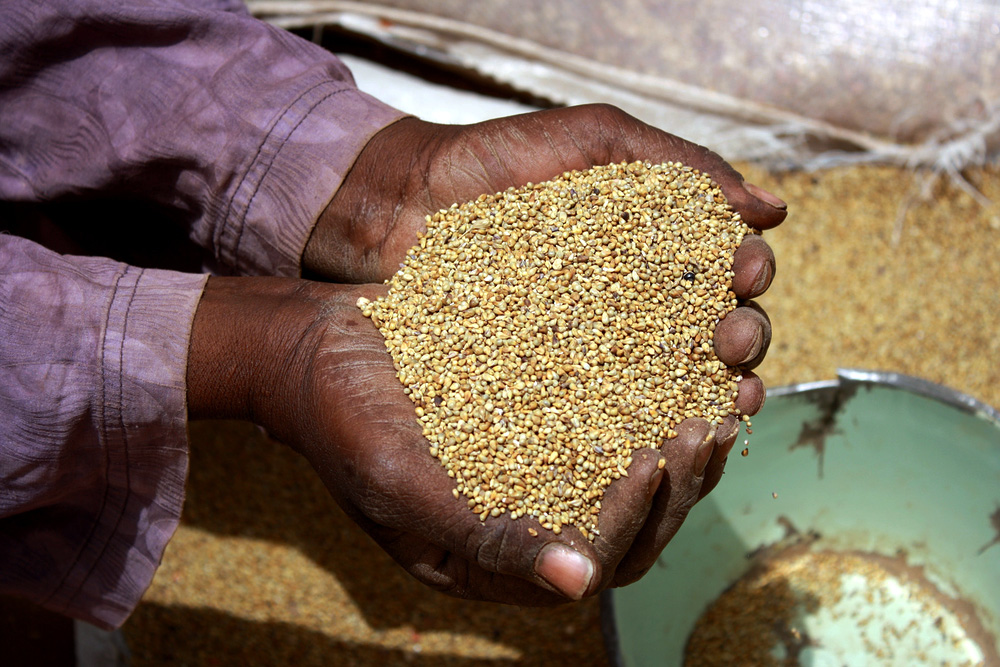 Hirse ist ein Hauptnahrungsmittel in Niger