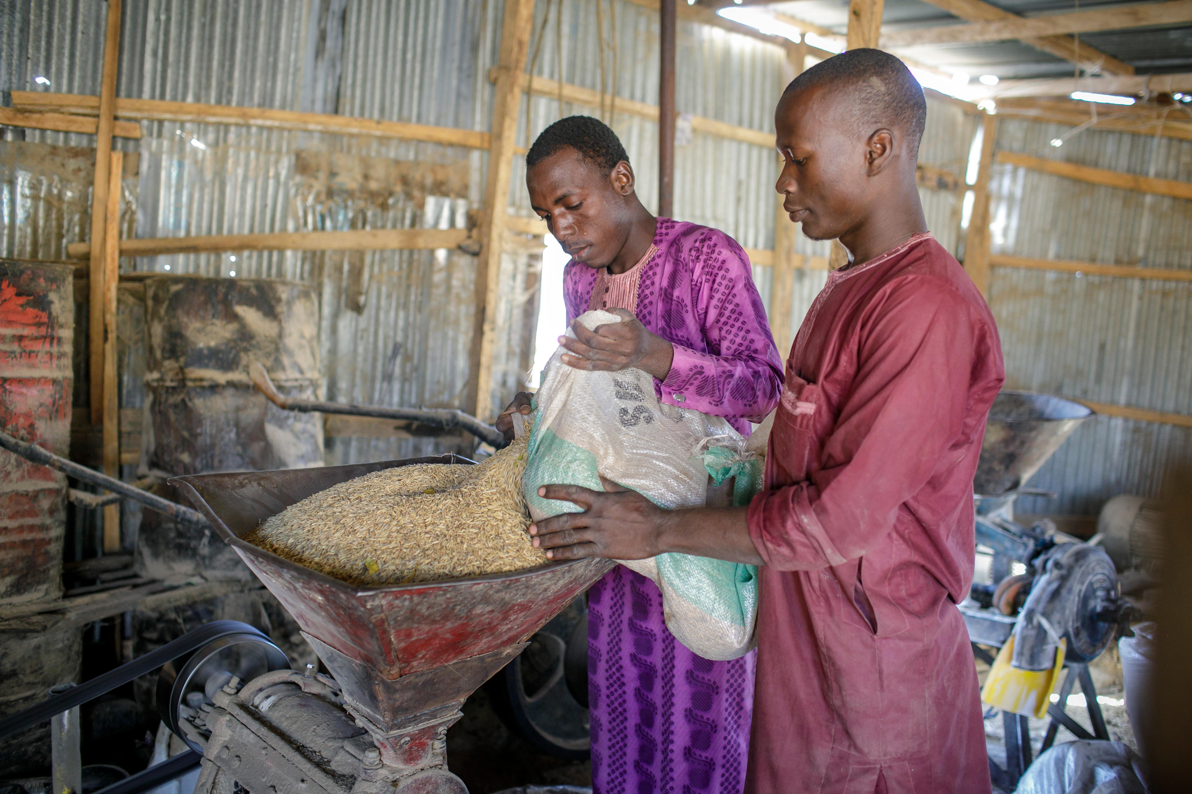 Arbeiter in einer kleinen Reismühle in Jega, Nigeria