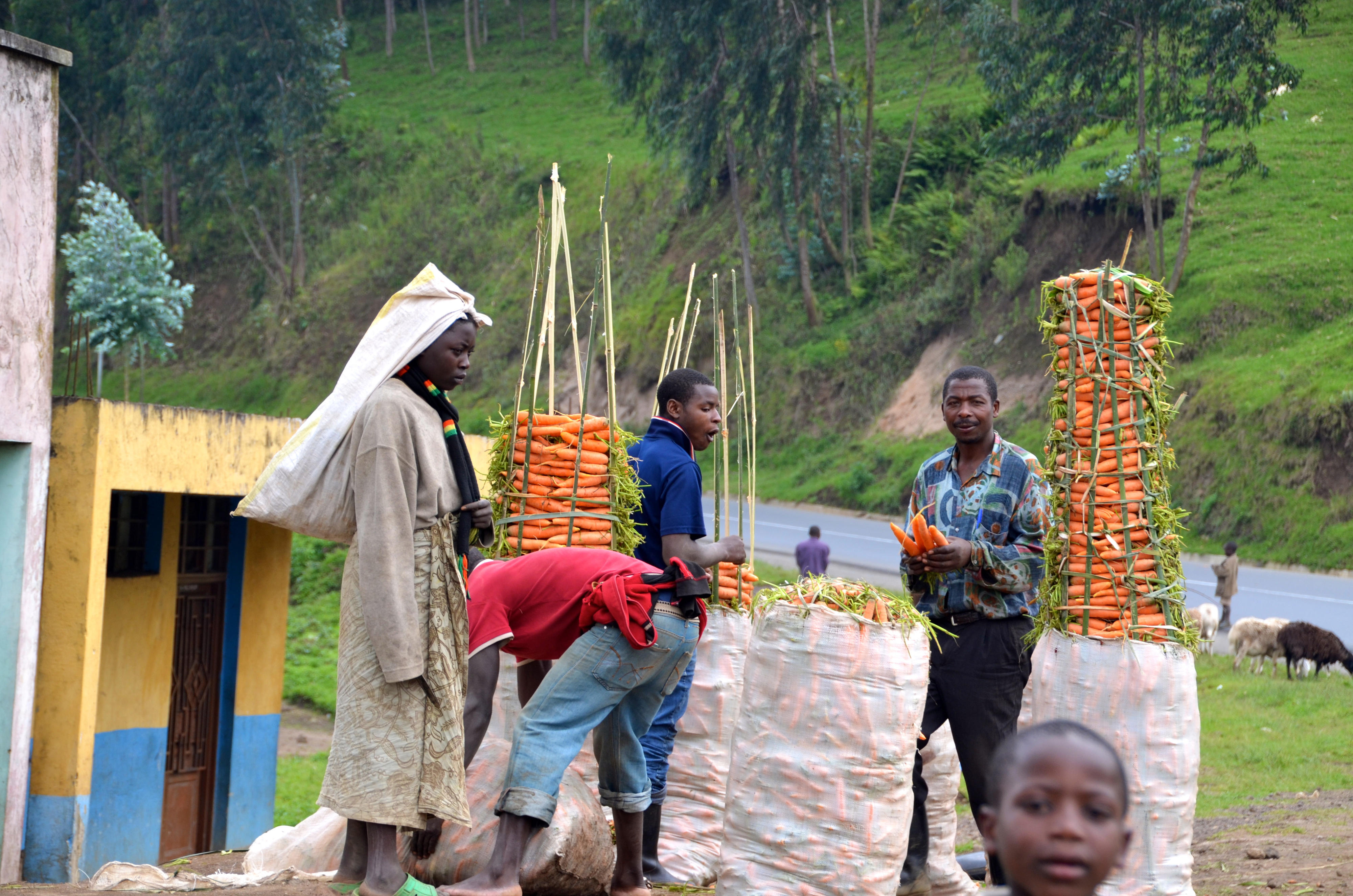 Straßenstand in Ruanda, an dem Karotten verkauft werden