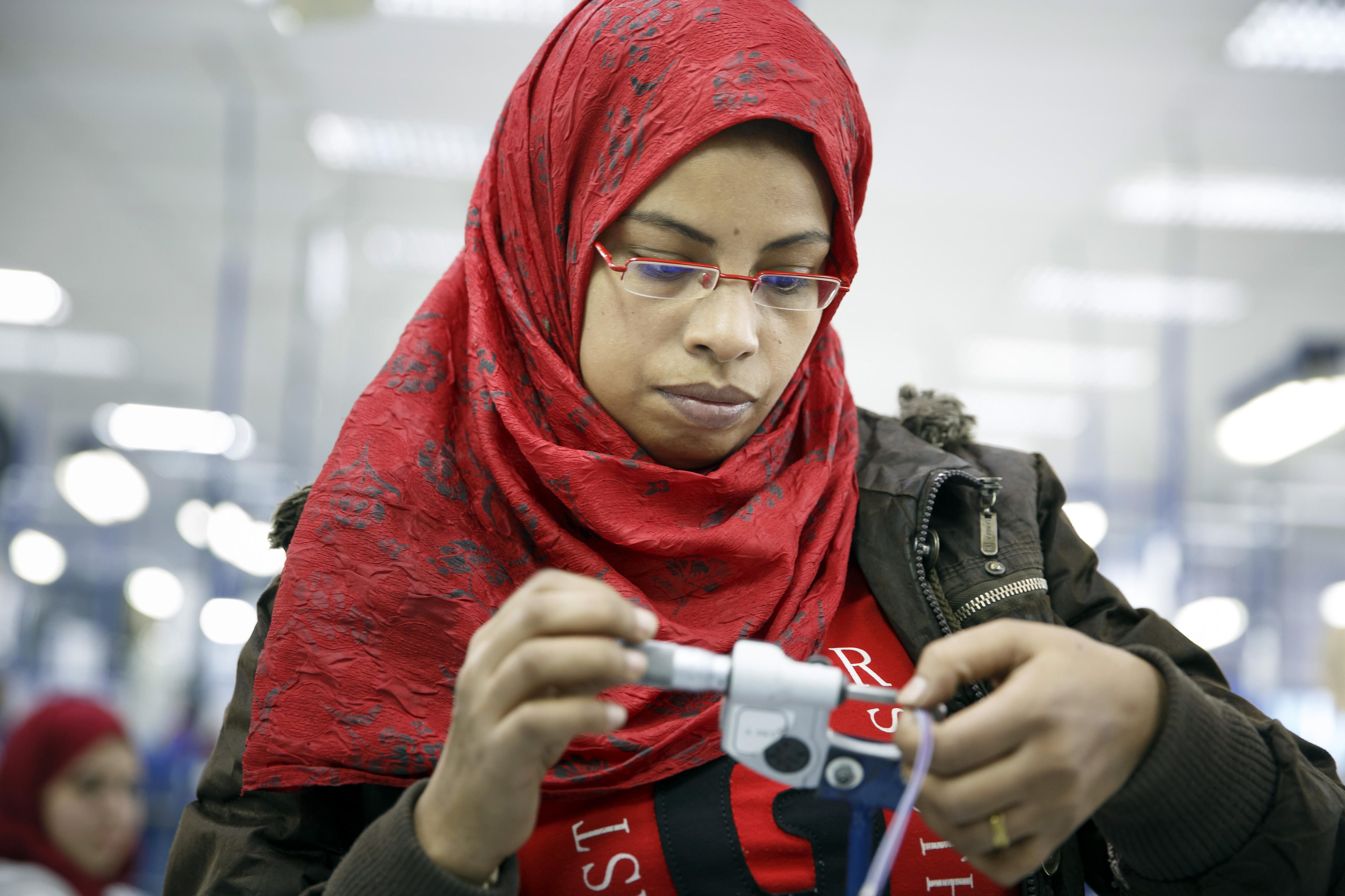 Apprentice at the Leoni Company in Cairo